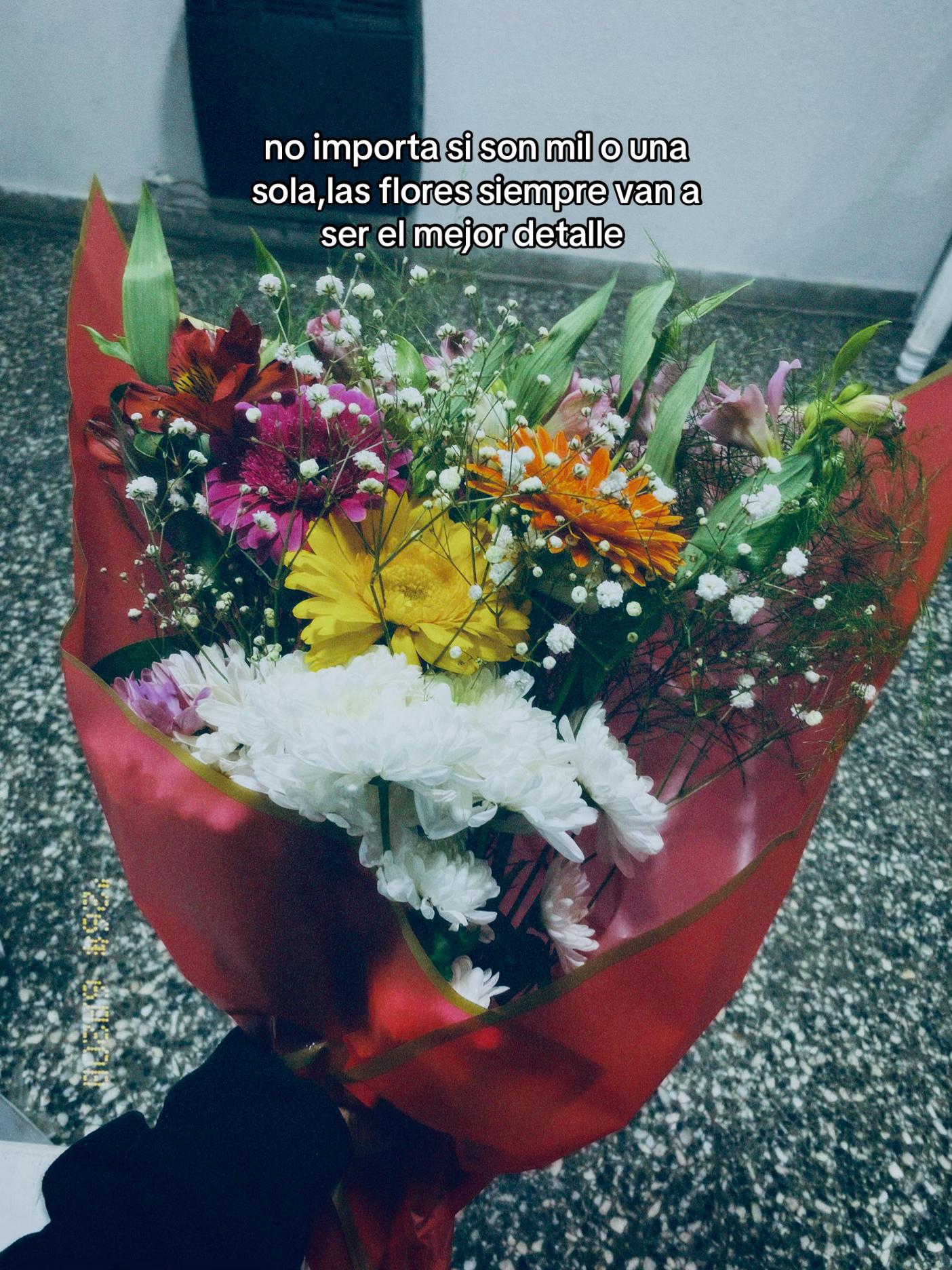 @𝓔𝓛𝓤⋆ೃ࿔*