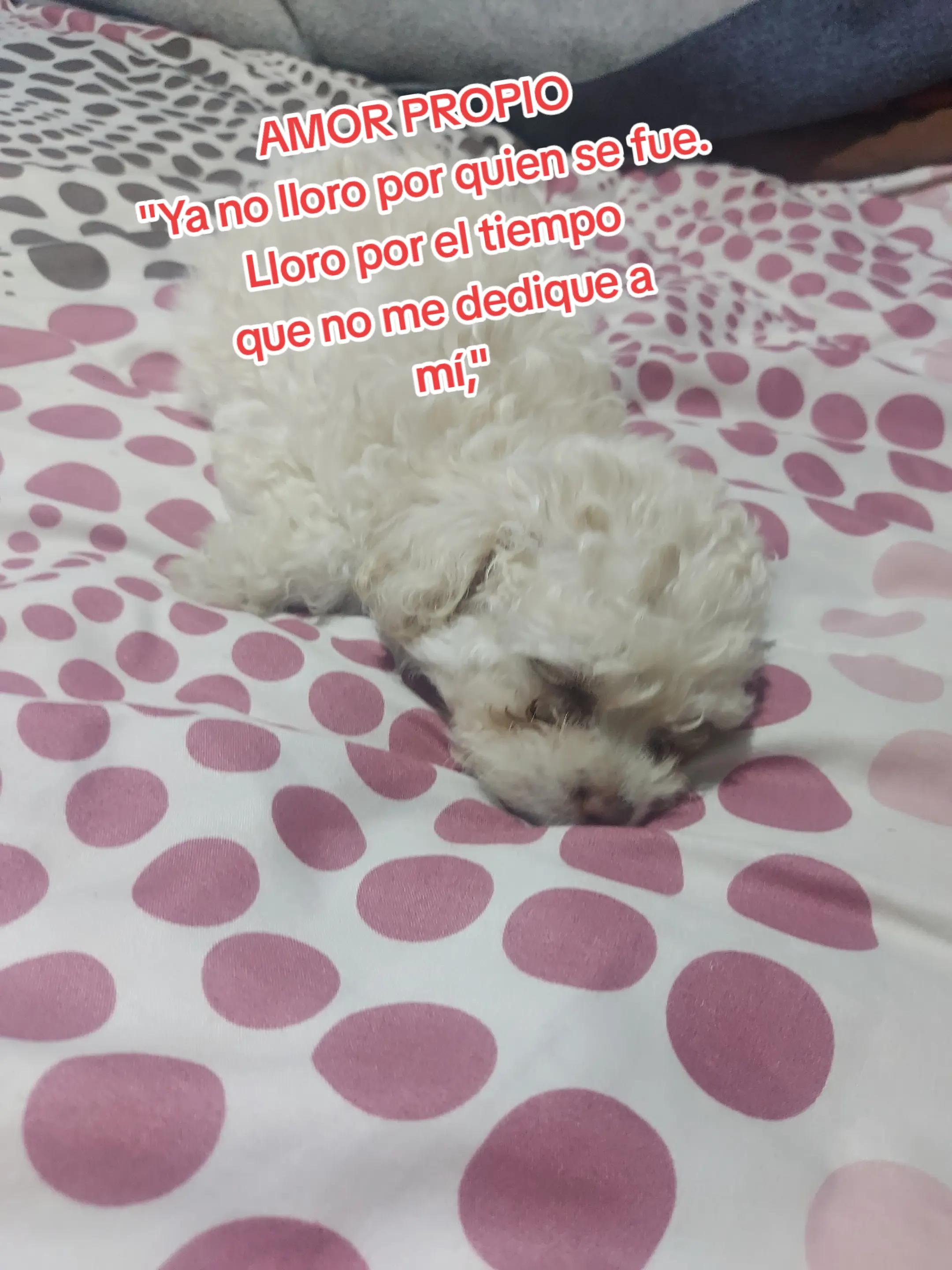 @Doris Toapanta