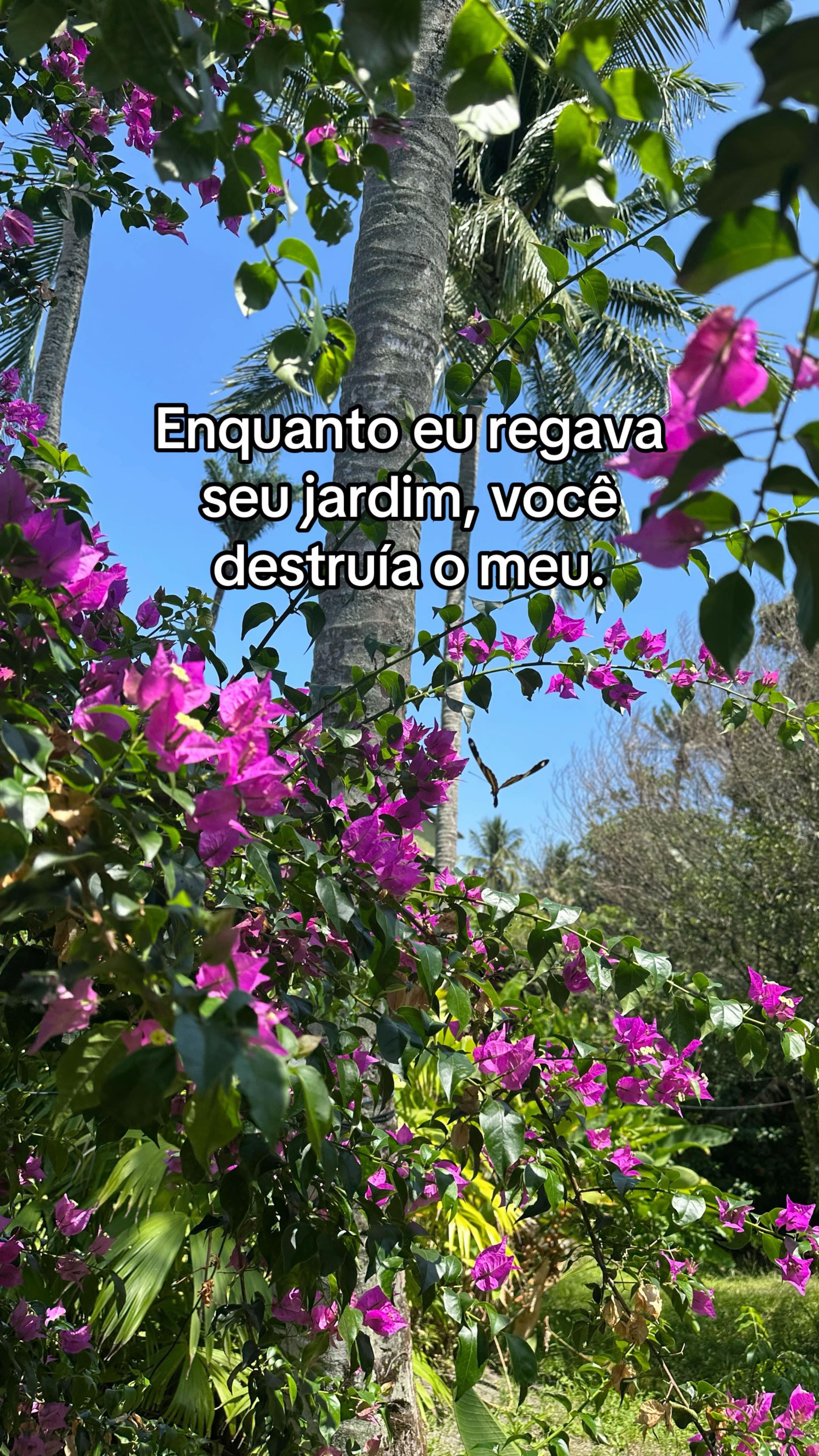 @Gueeu Ferreira