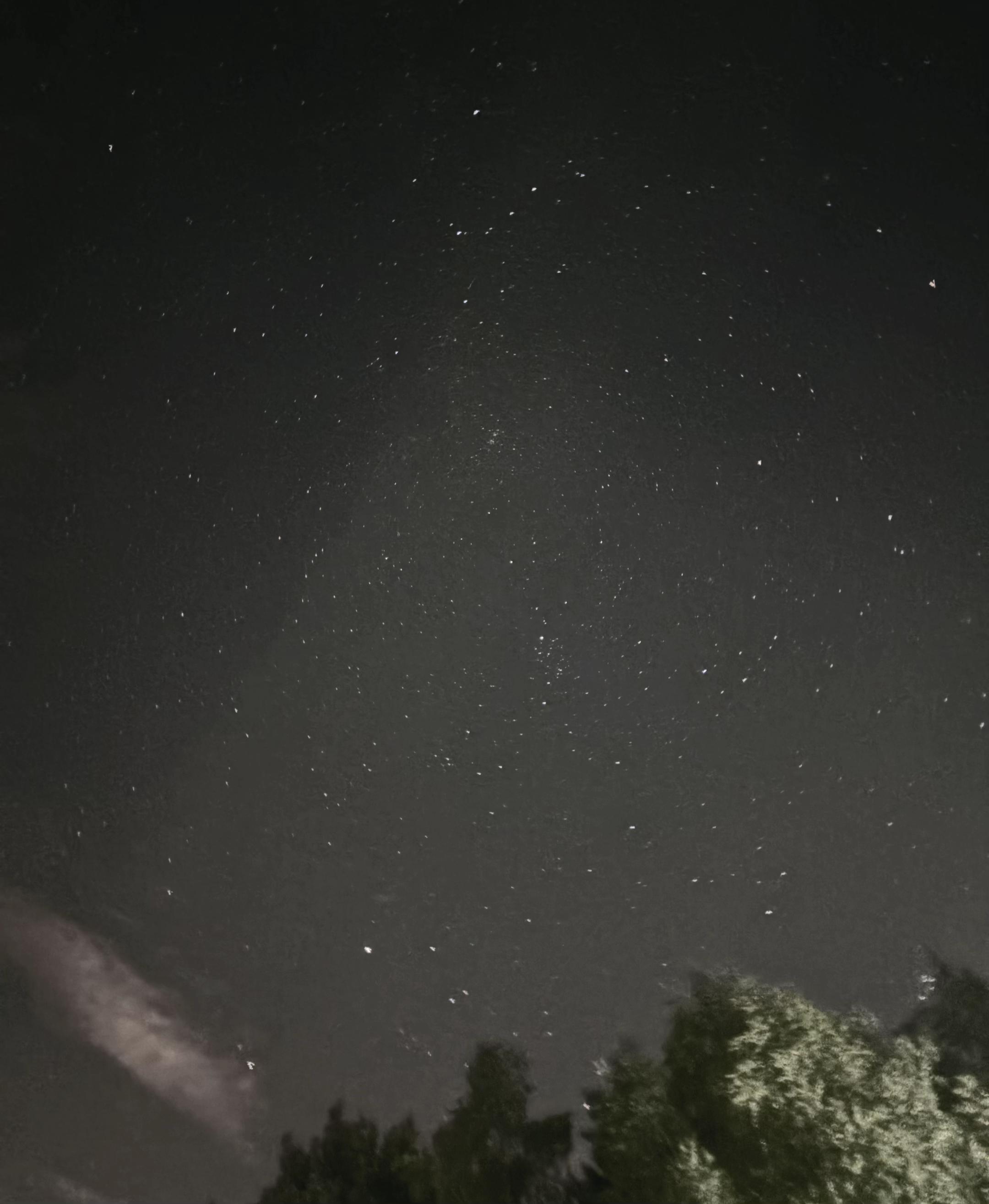 @𝑚𝑒𝑙𝑜𝑑𝑦'𝑠