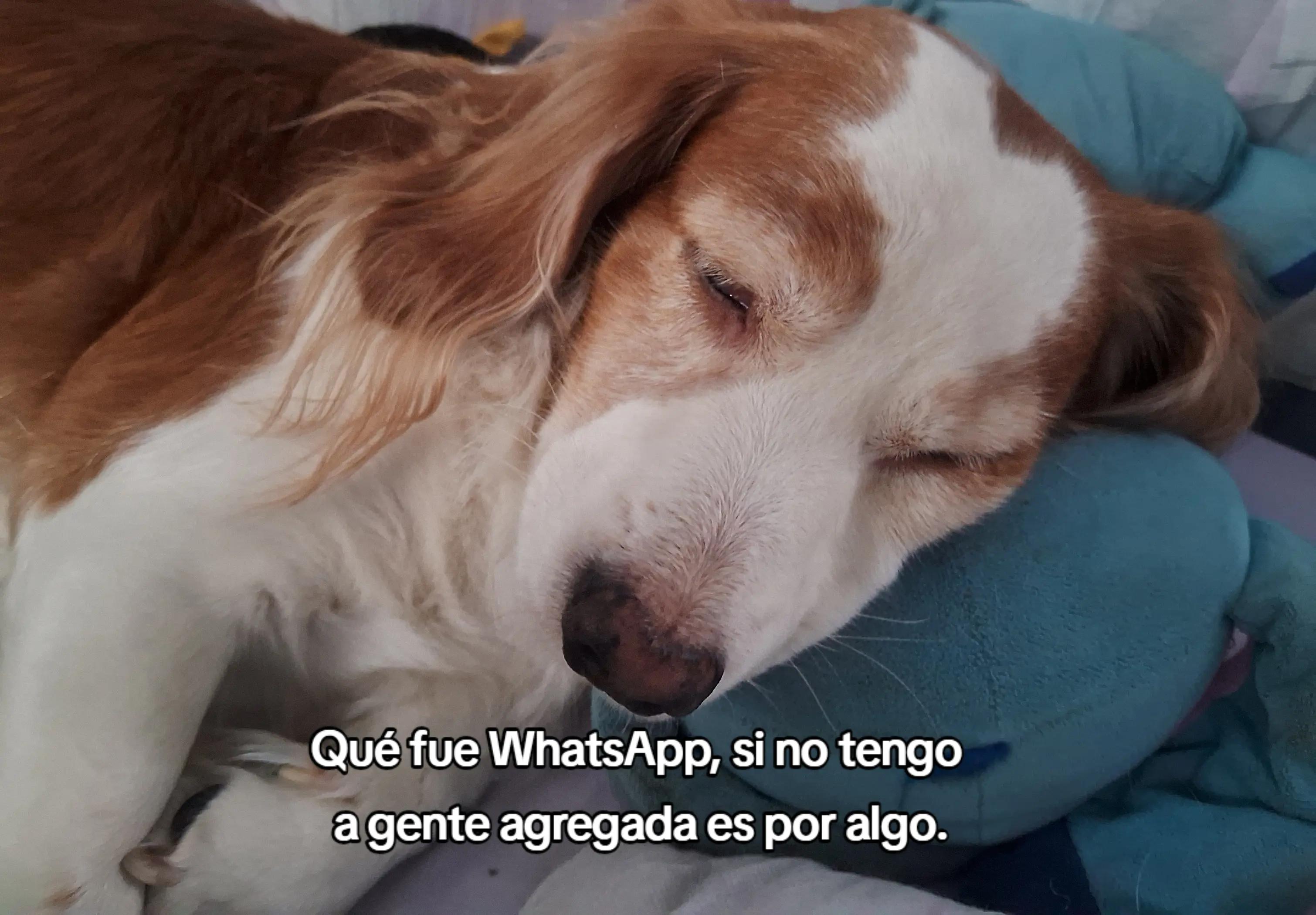 @Shirley Ruiz