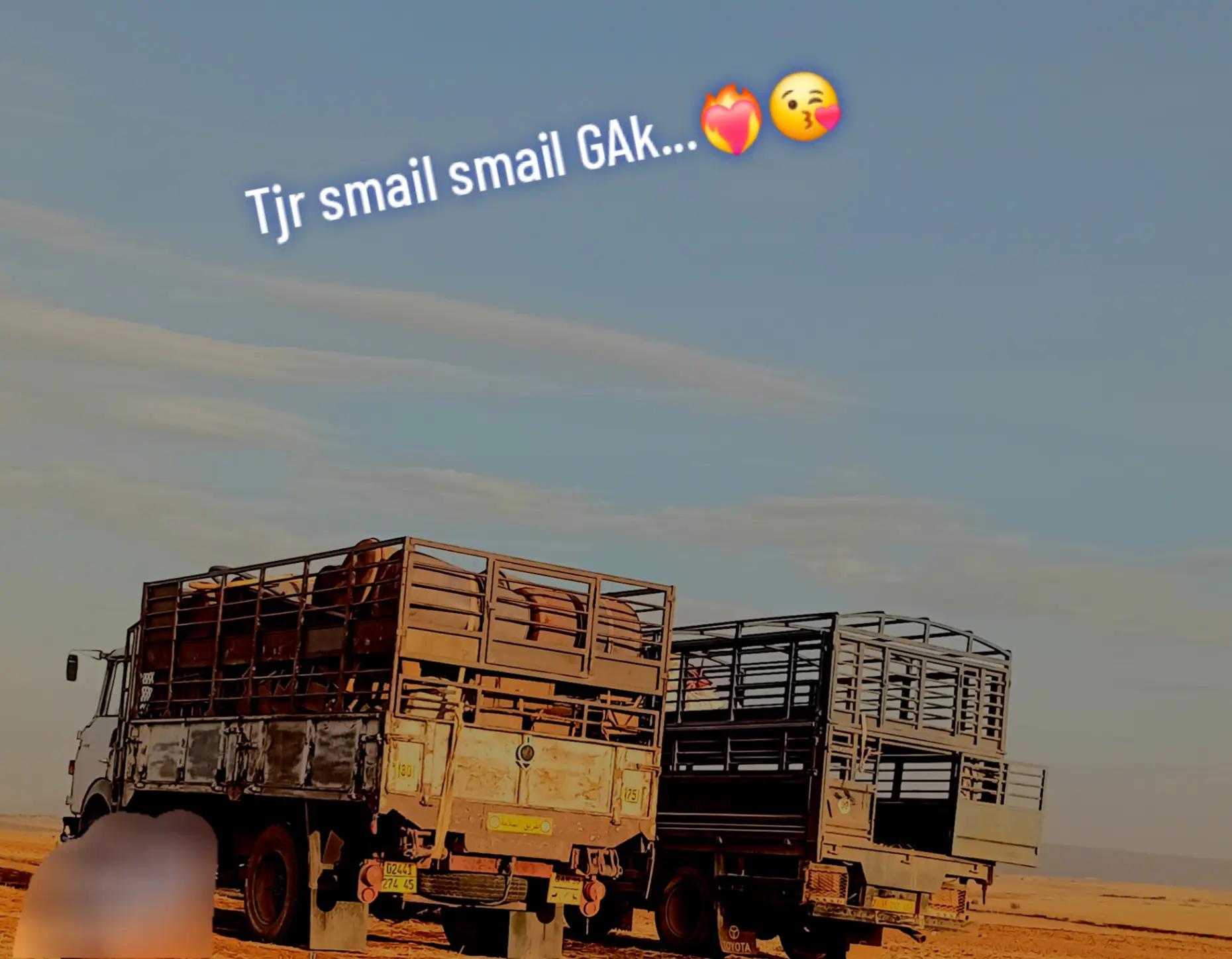 @Smail Tranji🫵😎