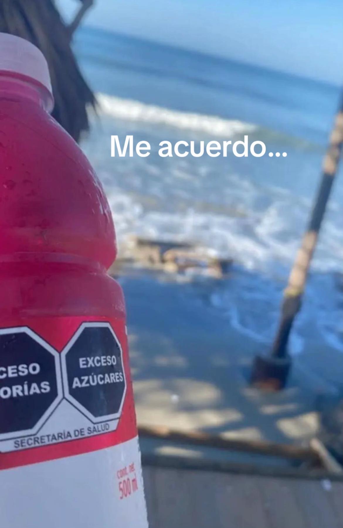 @lonchedejamon0919