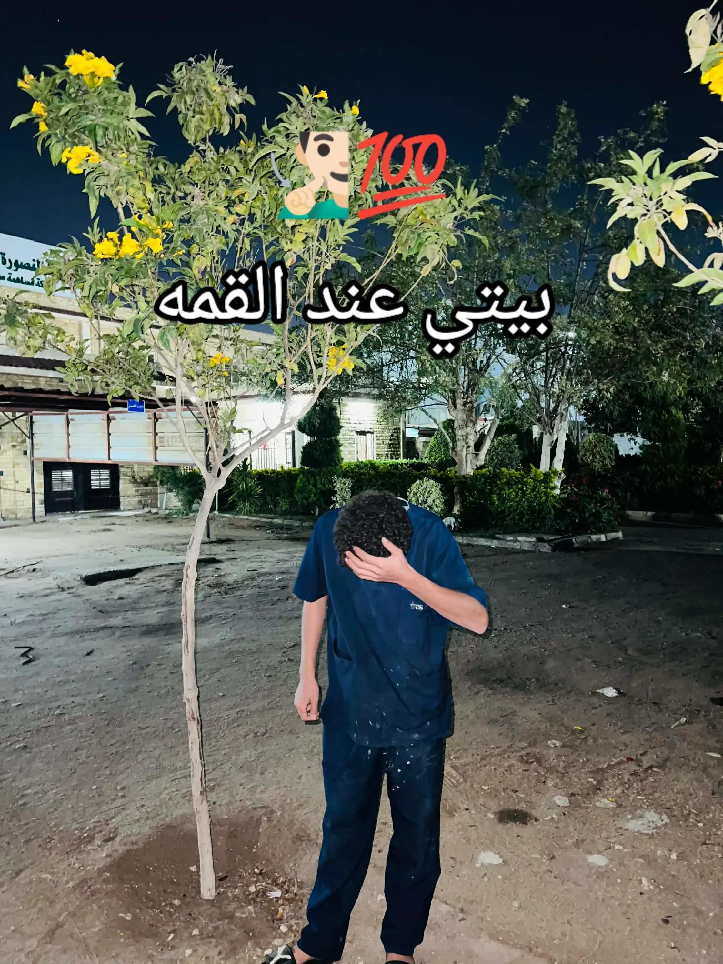 @➳ᴹᴿ᭄البّــــ𝓩𝓘𝓐𝓓ـــطل 𓃠 ✤