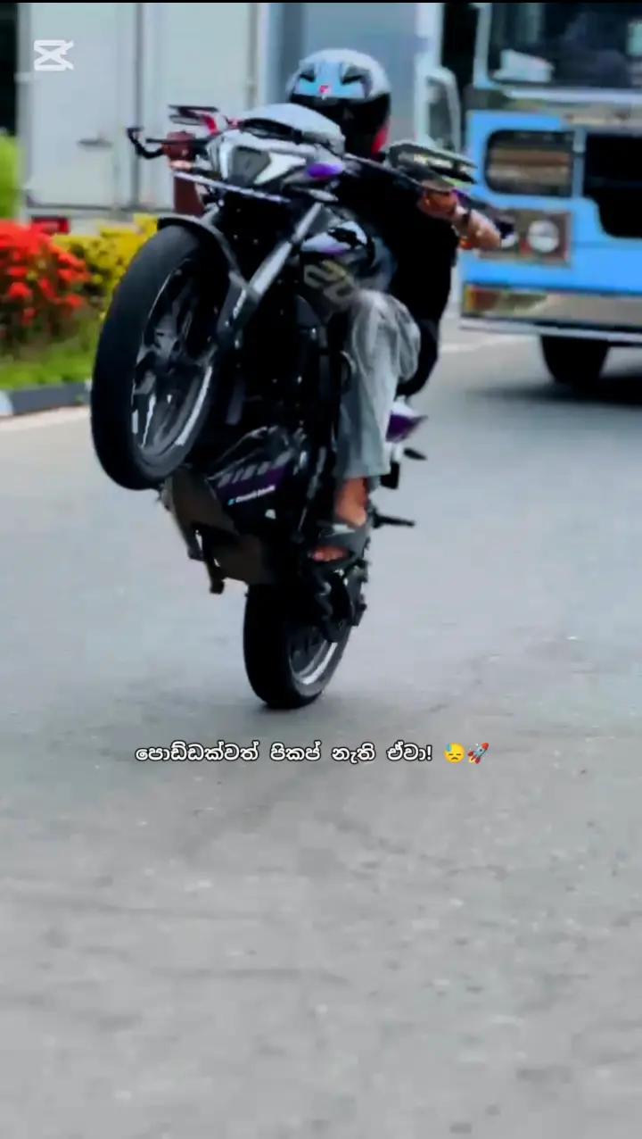 @𝑺𝑼𝑭𝑭𝒀 🍒