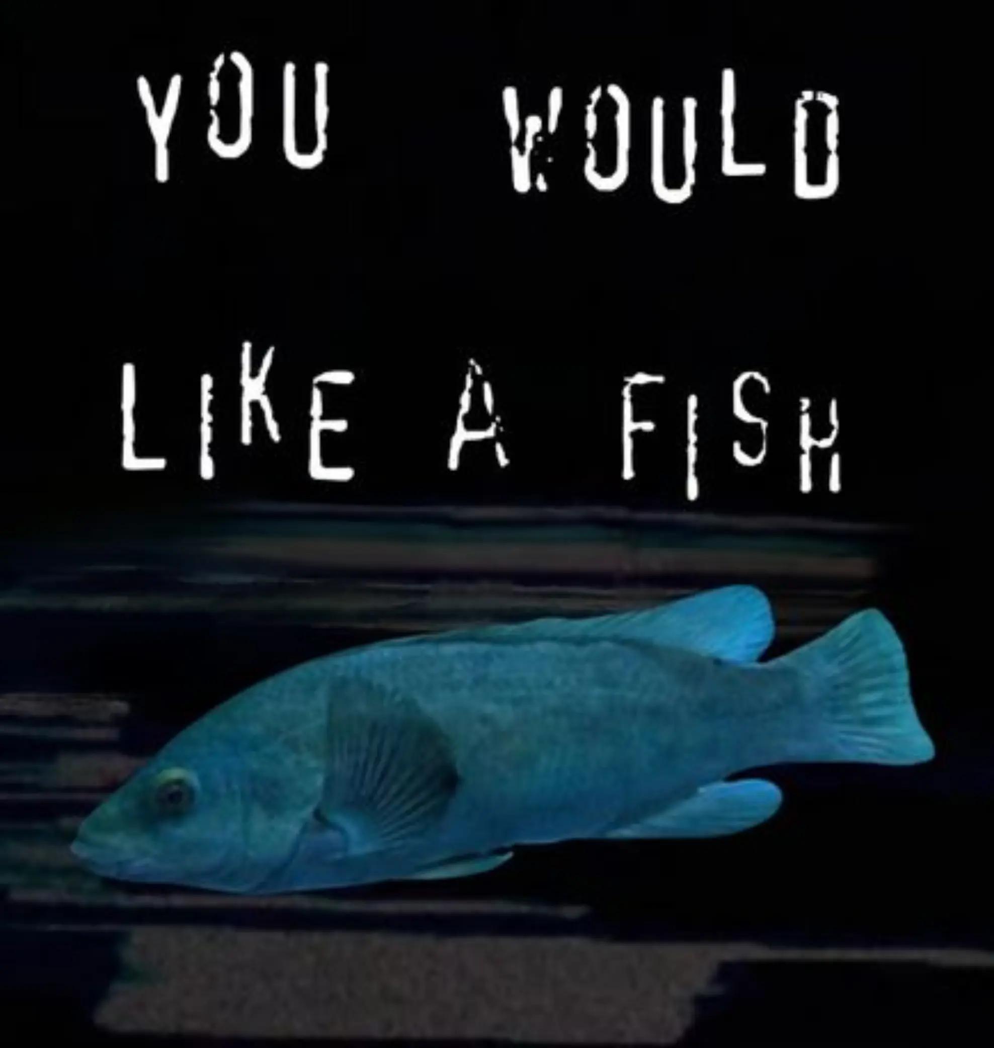 @BristolAquarium