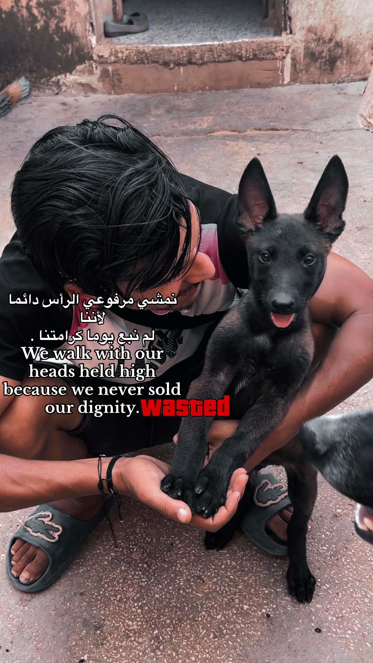 @𓆩Mido_20𓆪