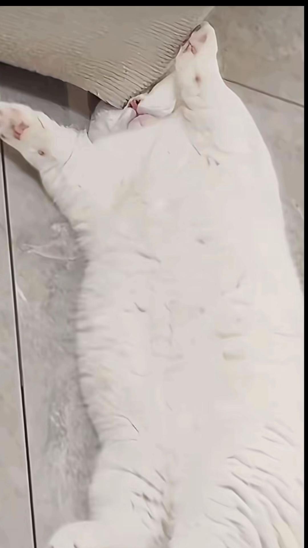@とも