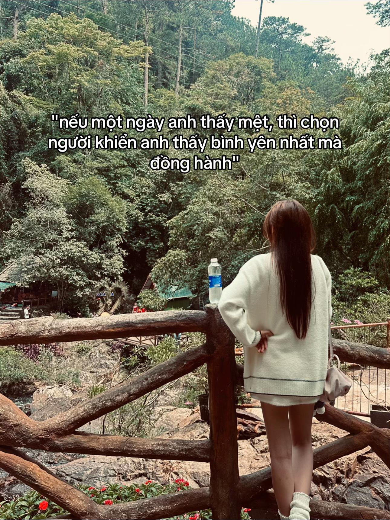 @🦕