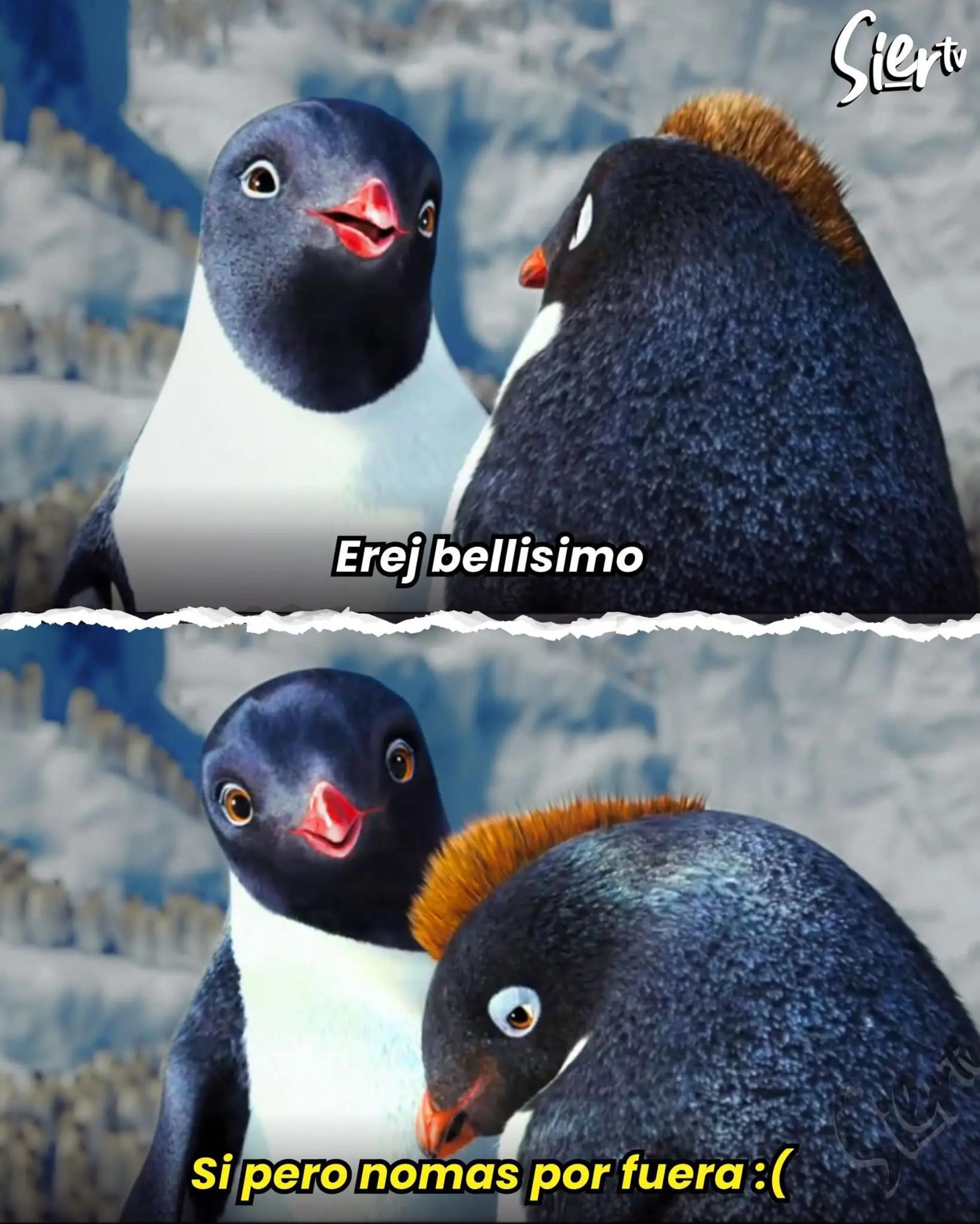 @SieerTV