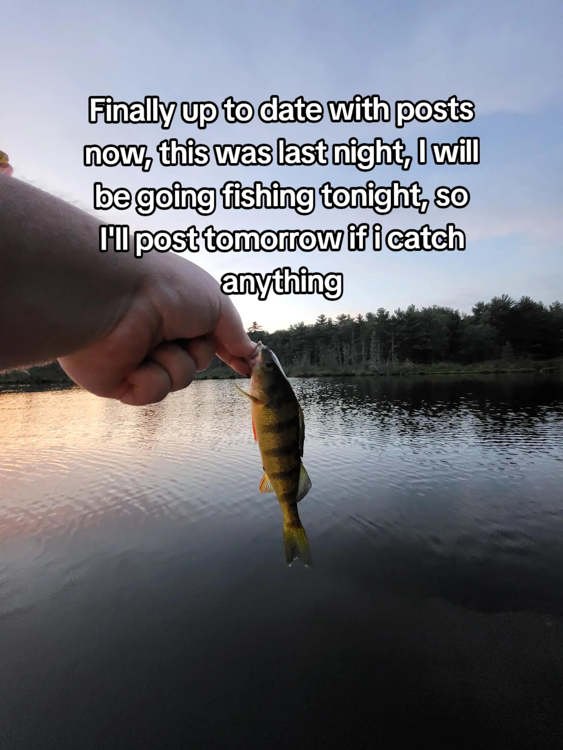 @TheReelLife