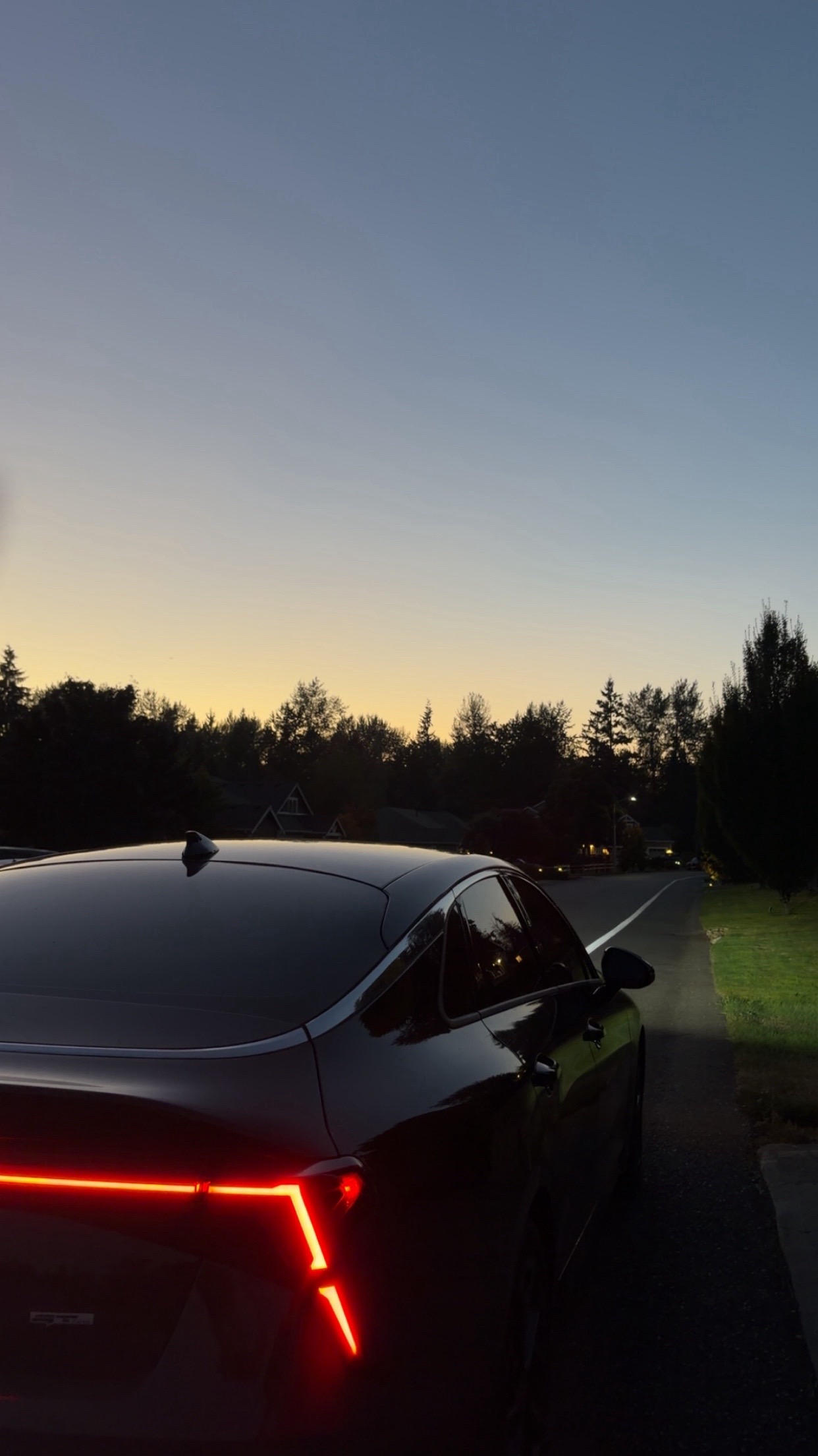 @🪷