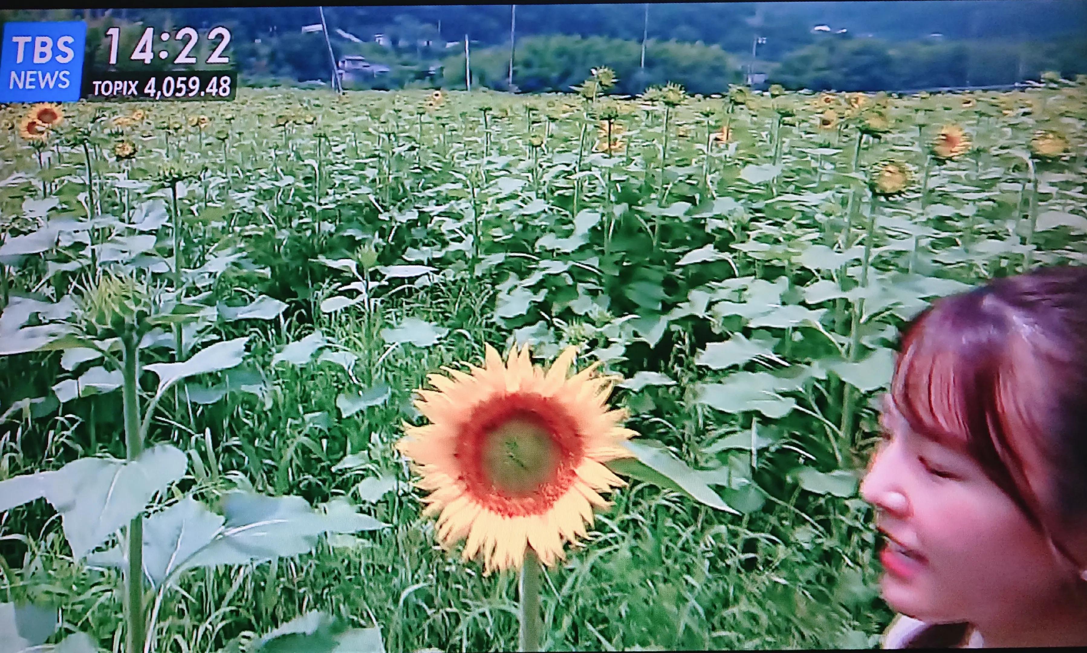 @尹の夕は。