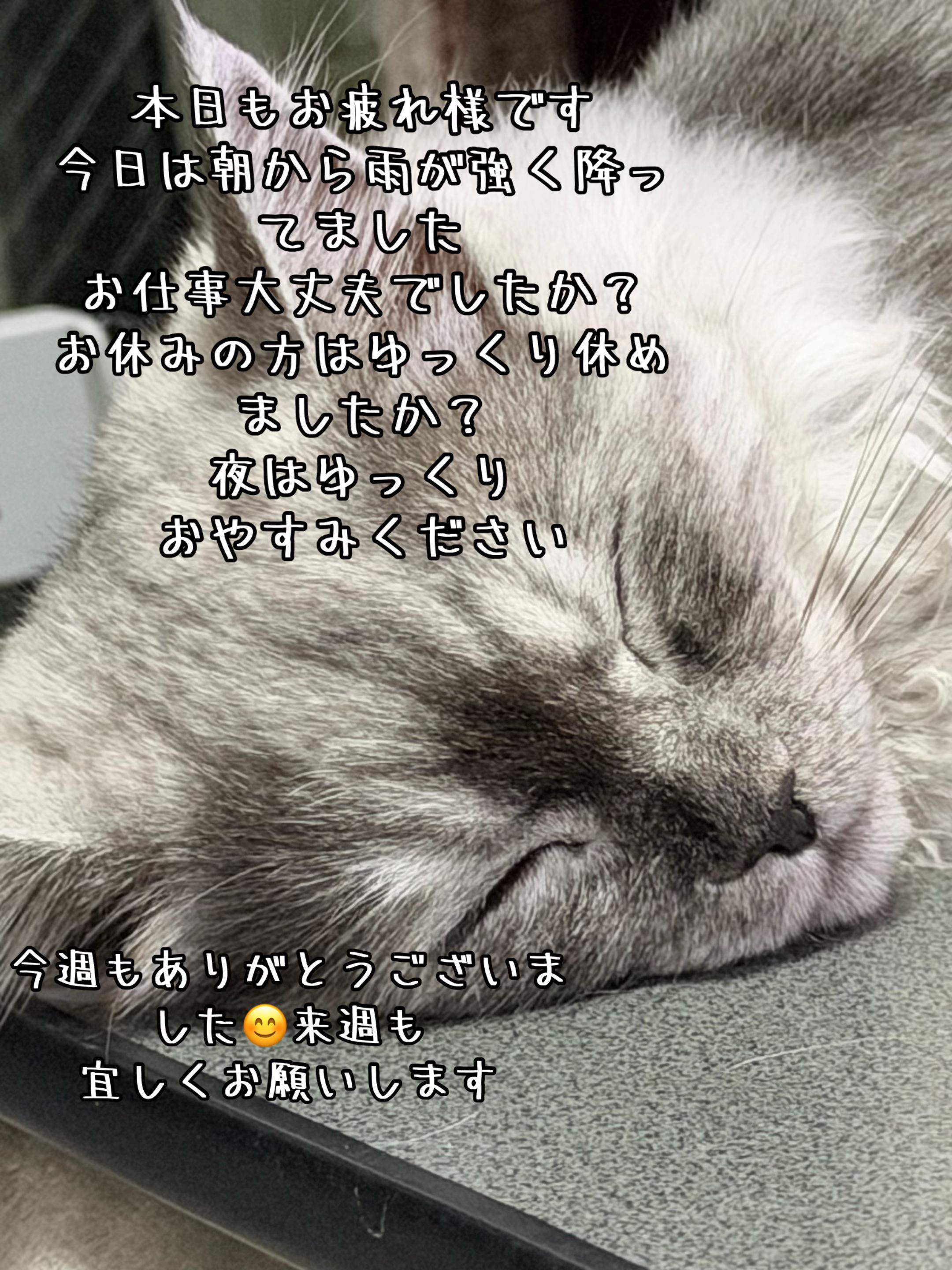 @🥀黒澤正志🥀