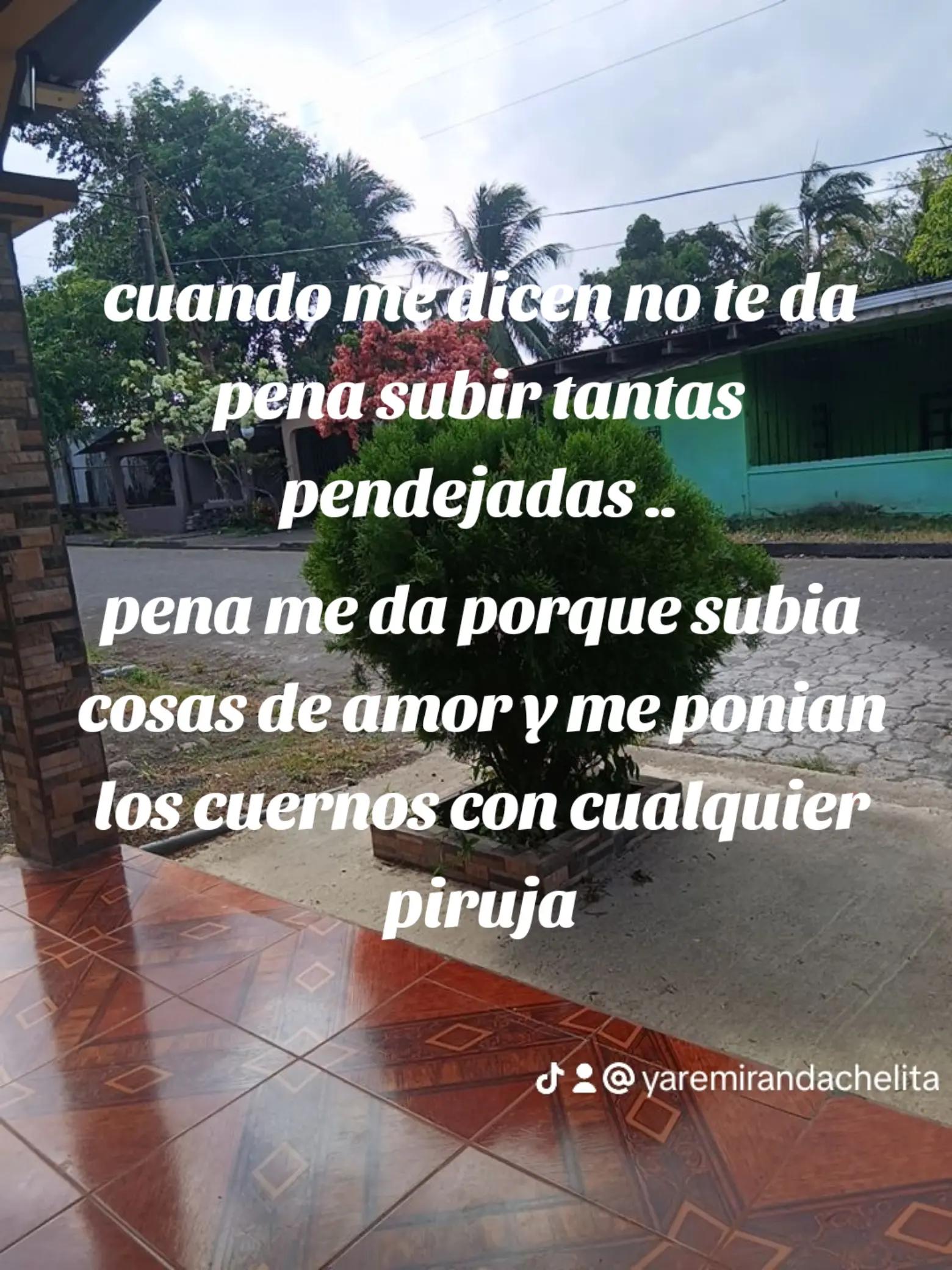 @yare💙🦋