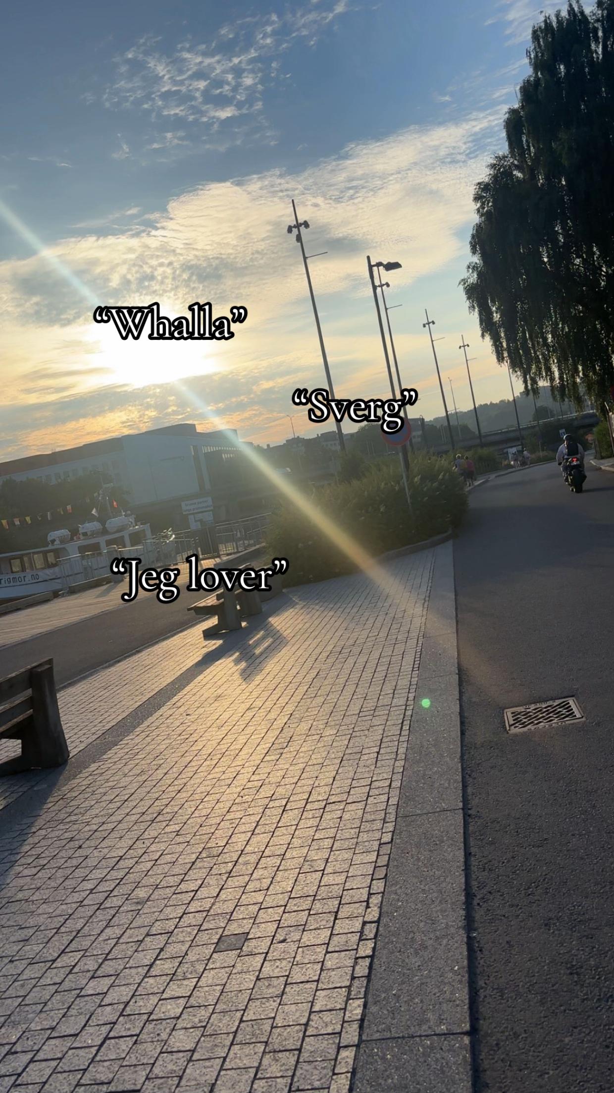 @🃏🐊