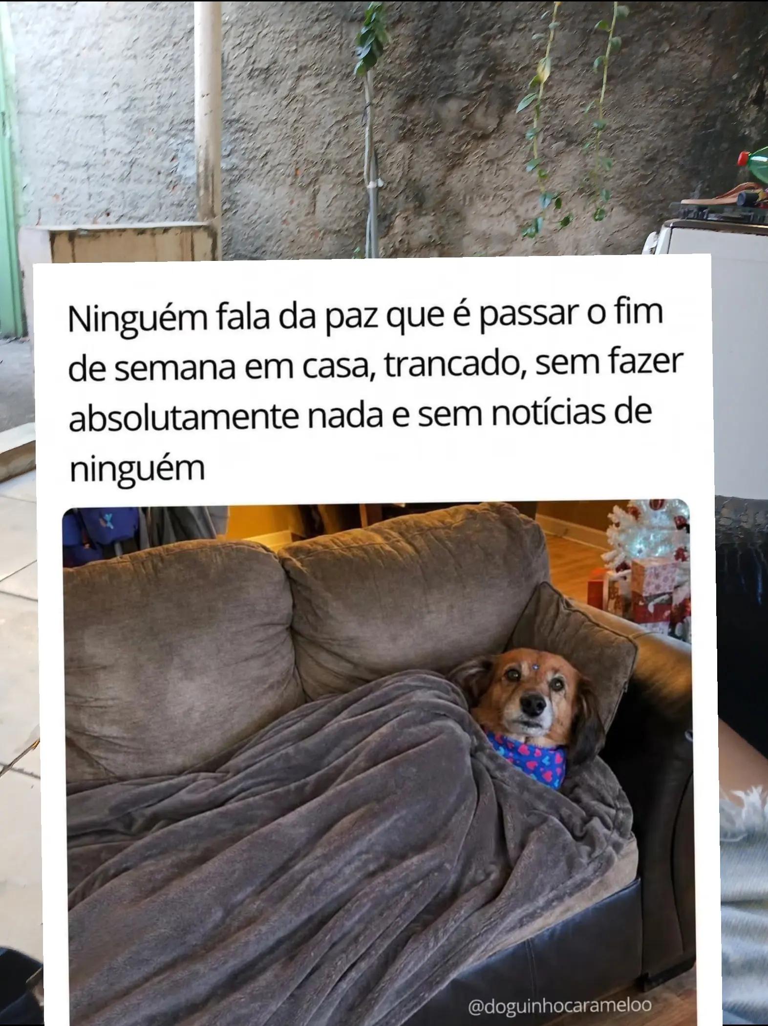 @humor da Célia 🤣