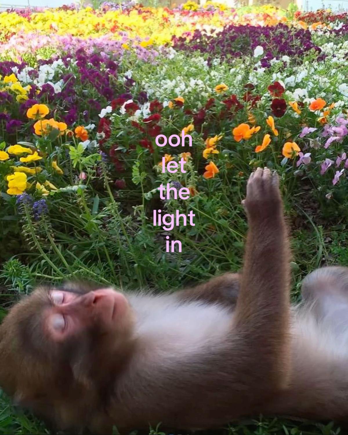 @jcstffs