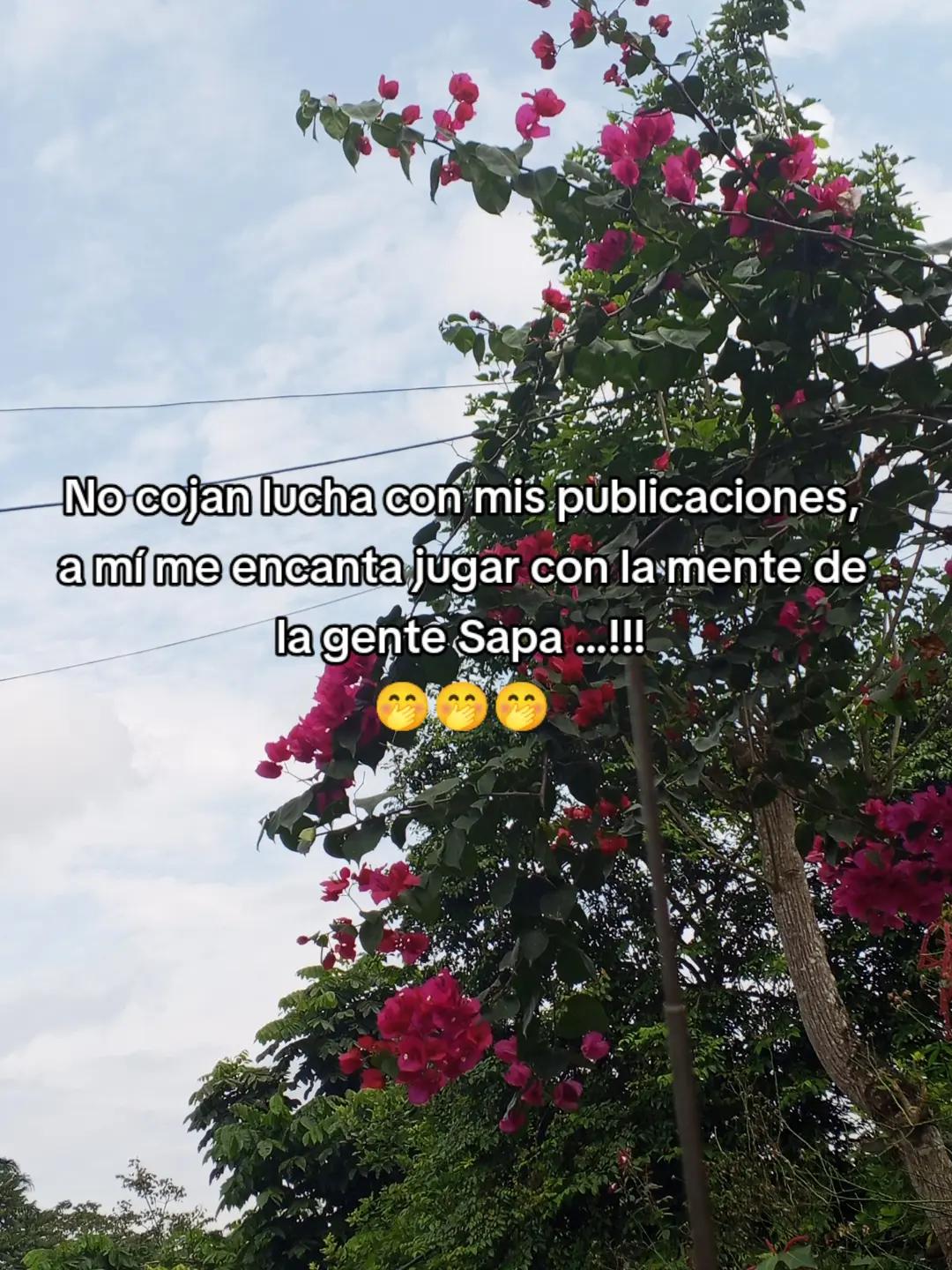 @Yulexi D💕Z💝A