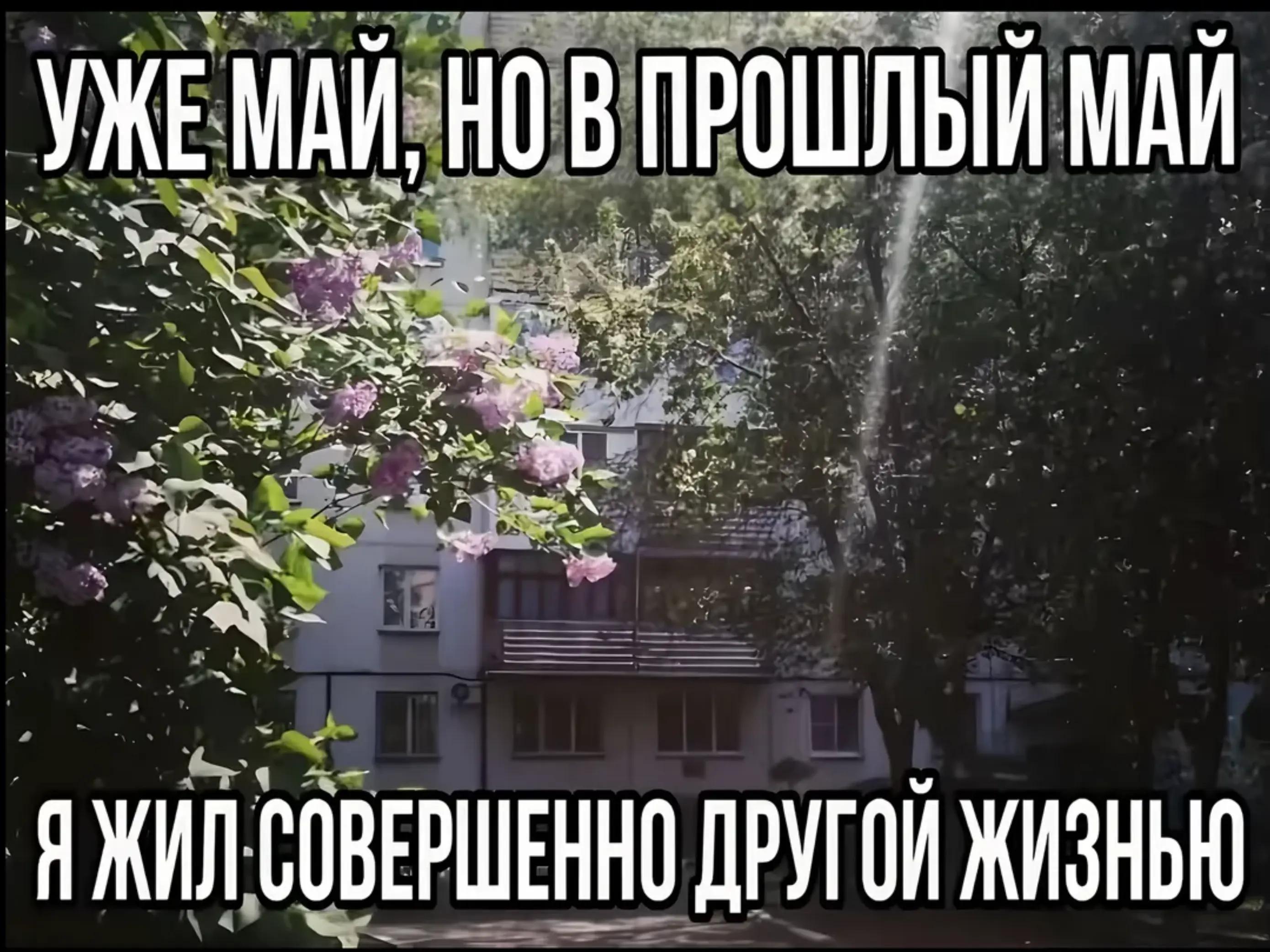 @m3nshowa.m