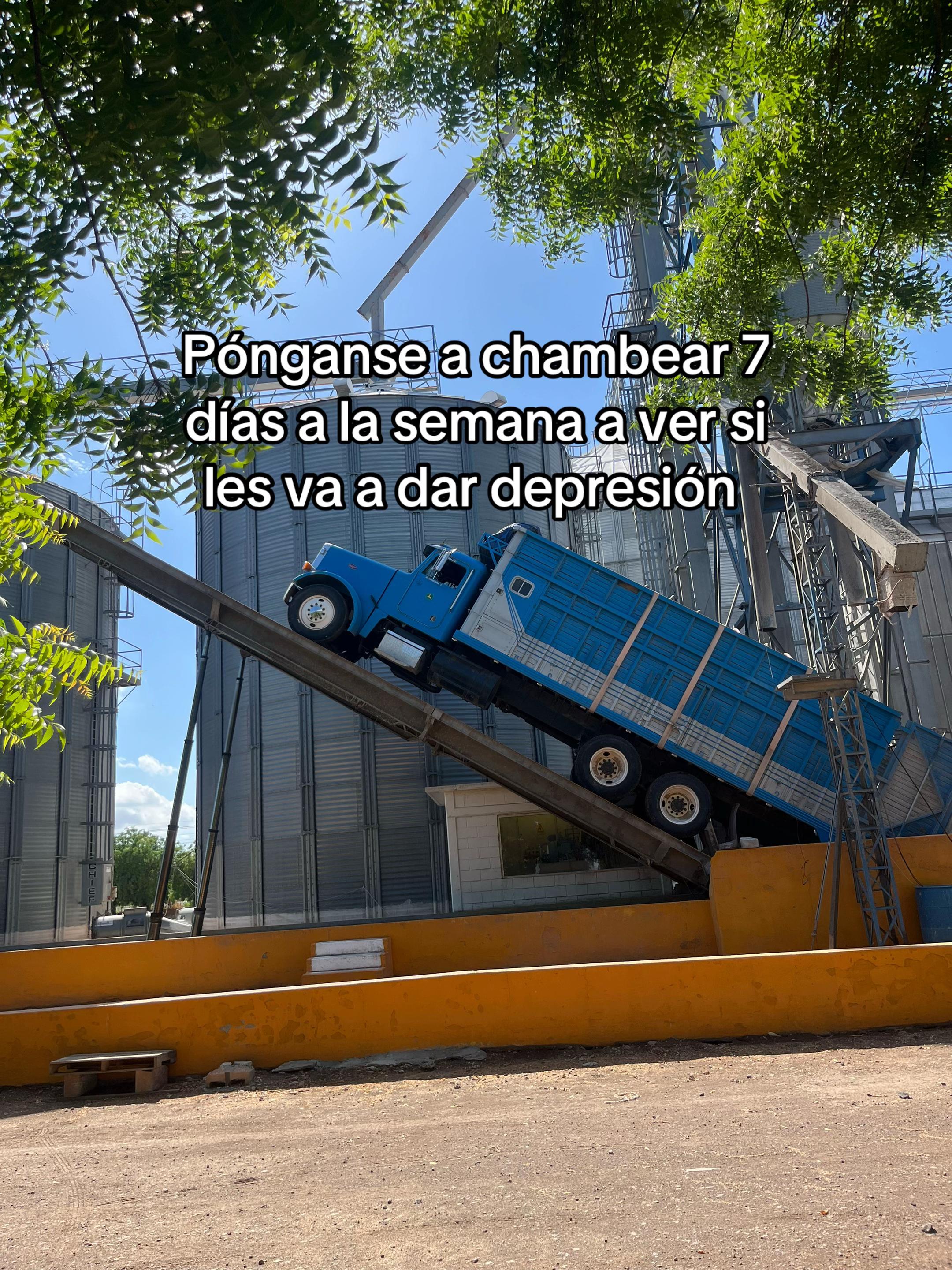 @Elpedrito19