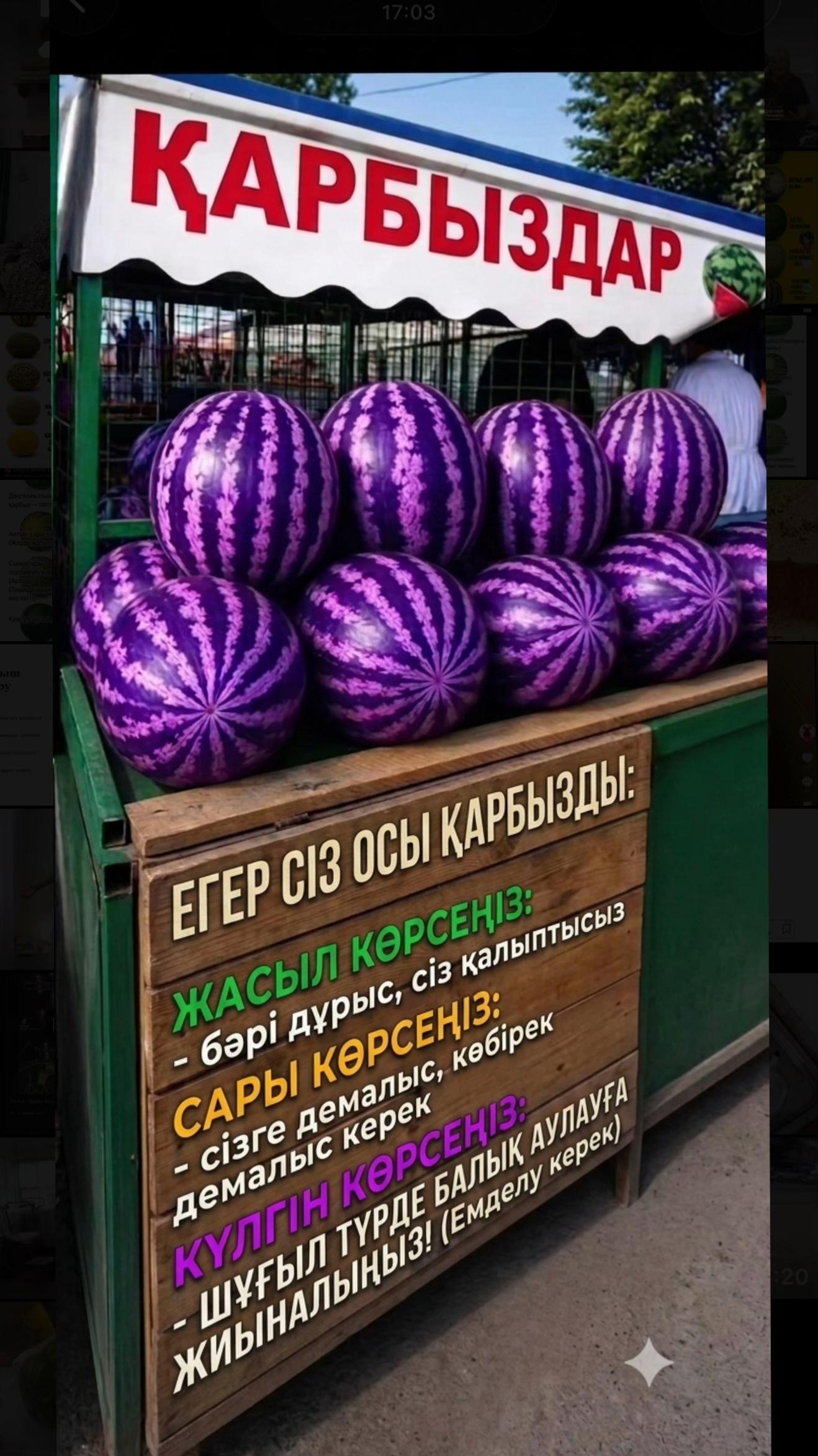 @Expert Agro Seeds