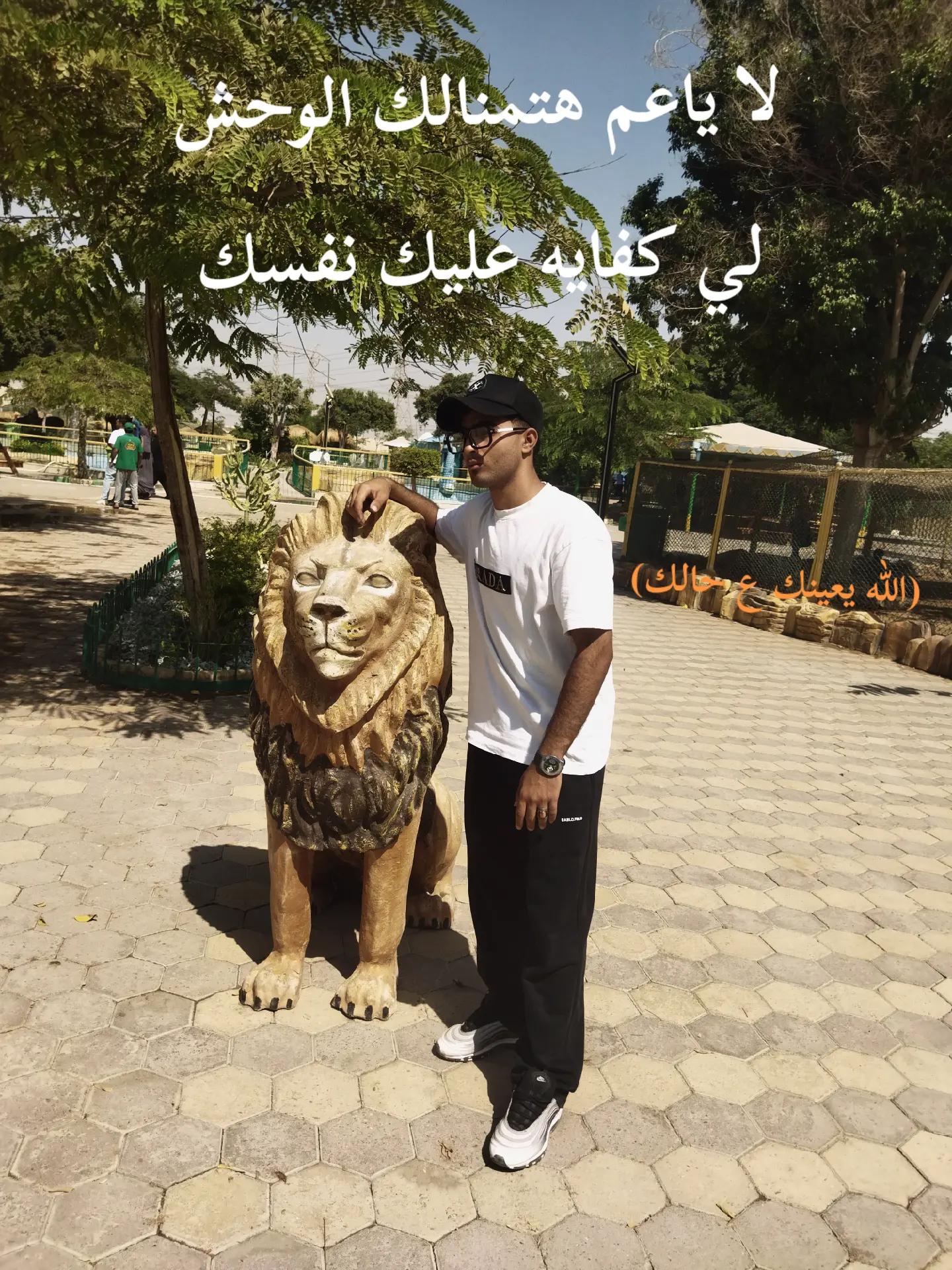 @آلَآًسًــــــــد🦁