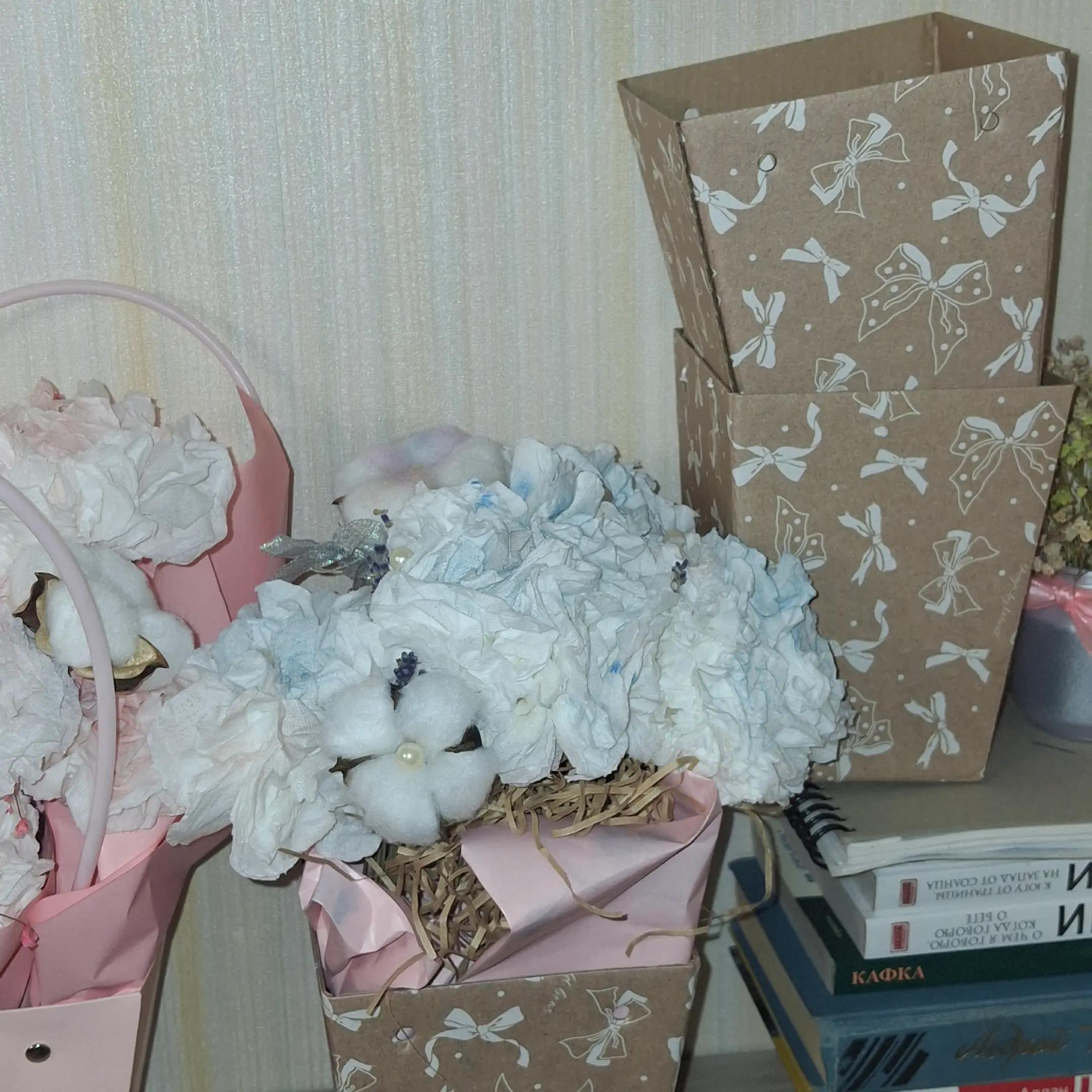 @vioppy[kk]