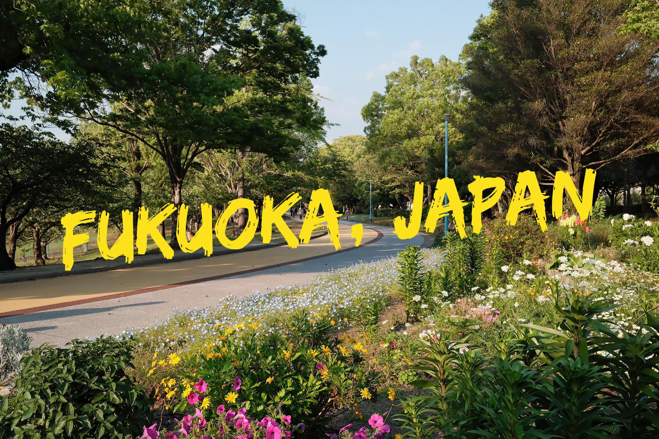 @Joco