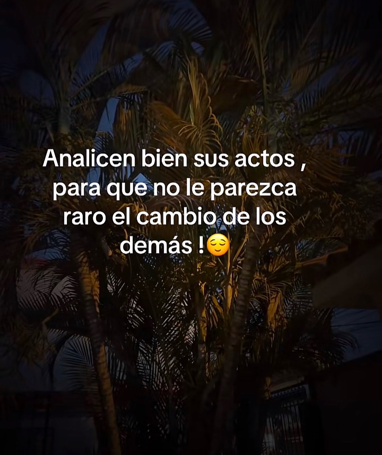 @🌼🌸La Osita 🌸🌼