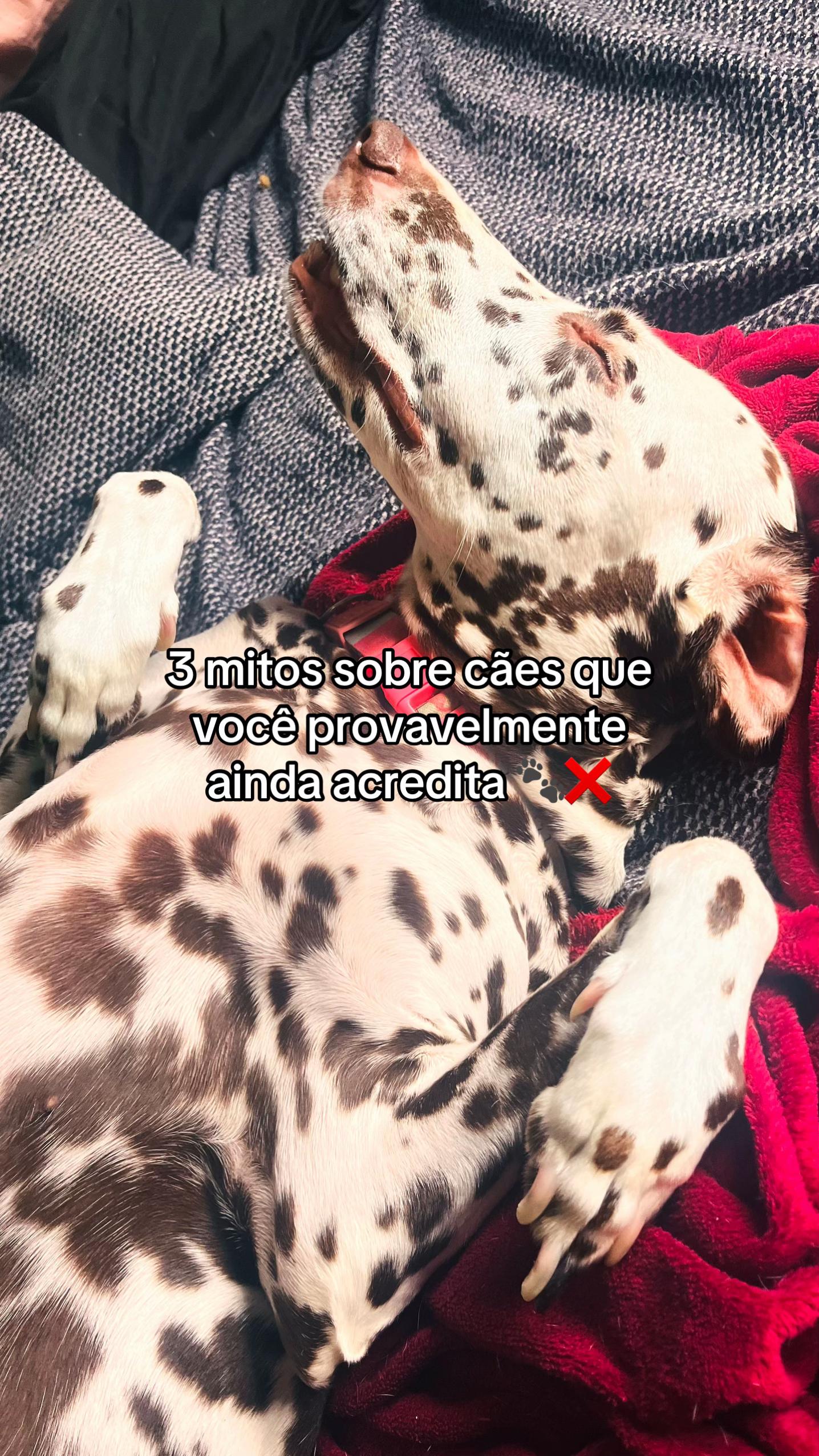 @Margô e Jude