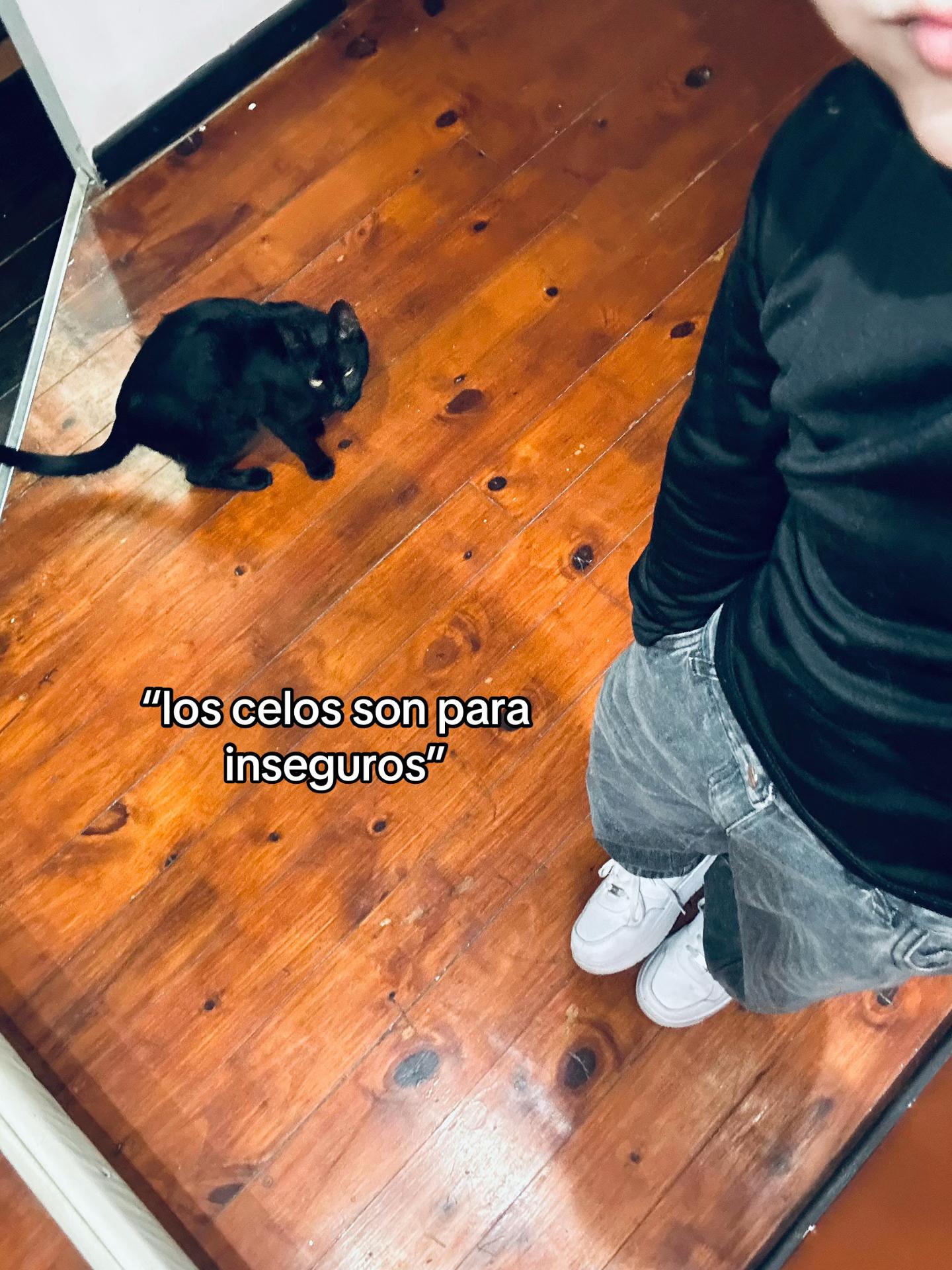 @juuuanii ☈