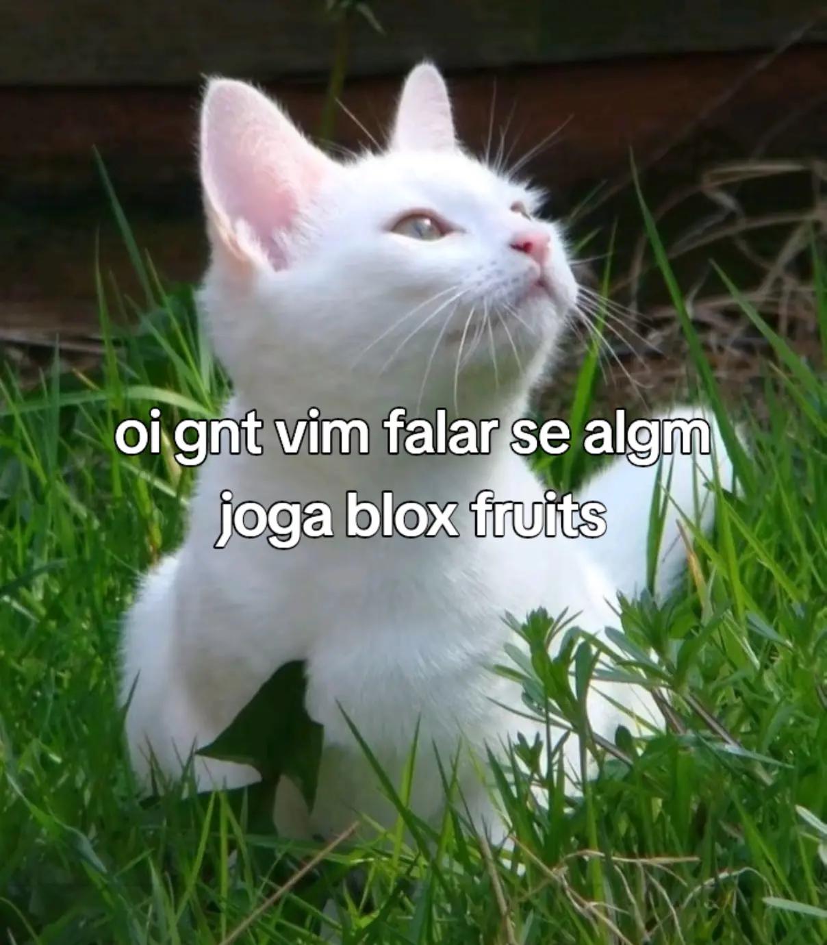 @~gatos brancos⚪🤍(-> <-)☆♡~