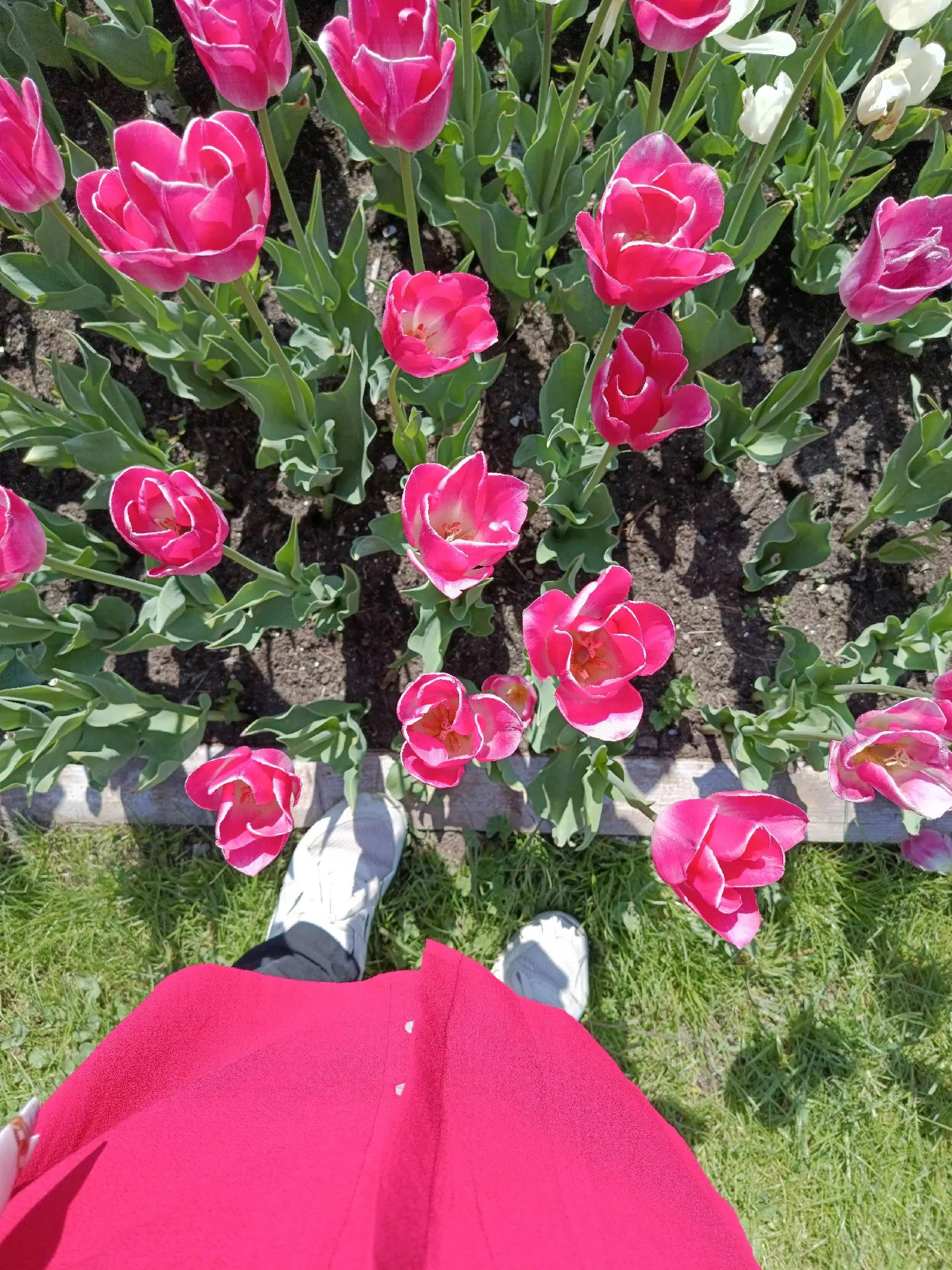 @kelebeğin Rüyası 44