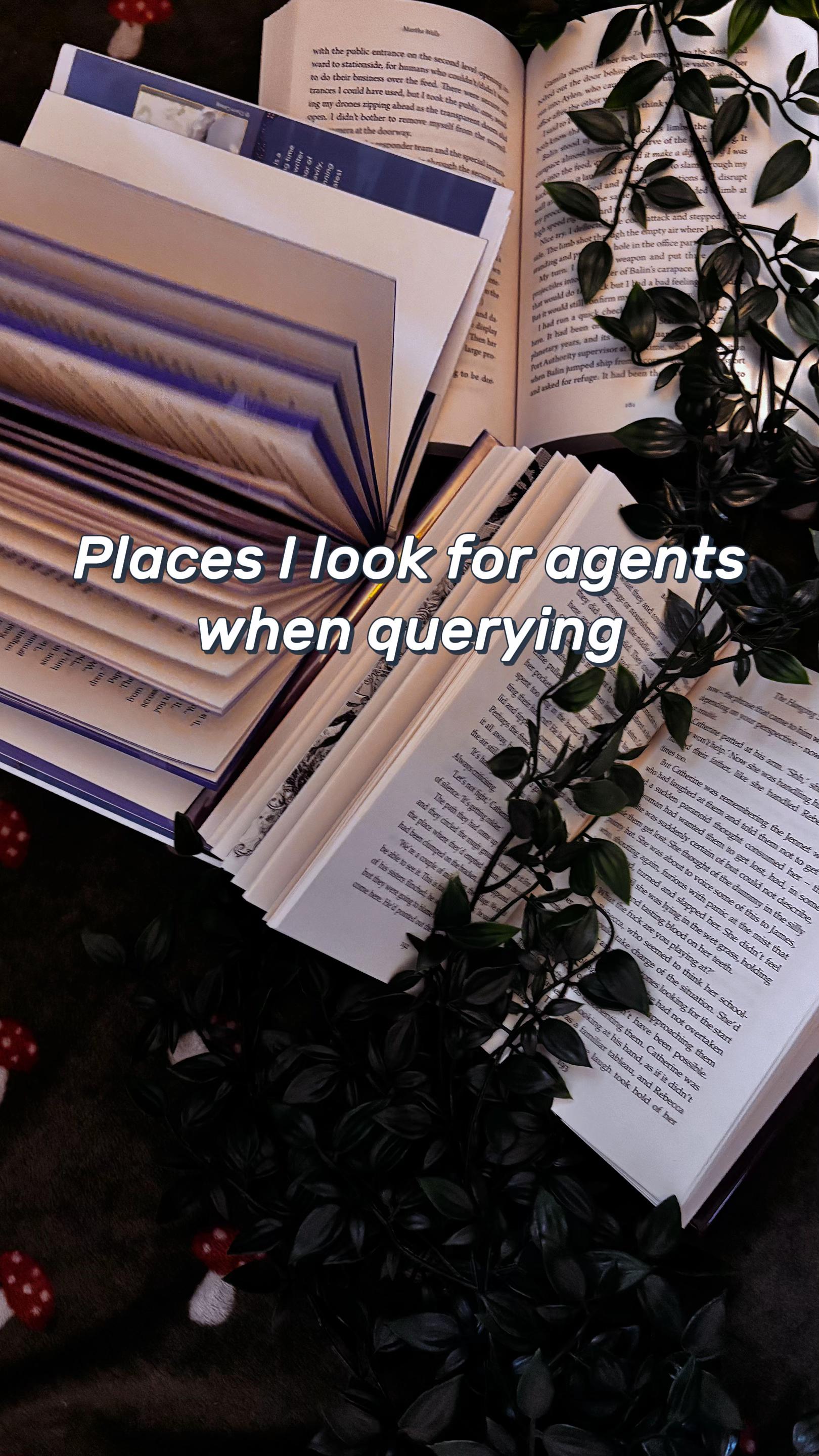 @Danielle - Writer✨📚