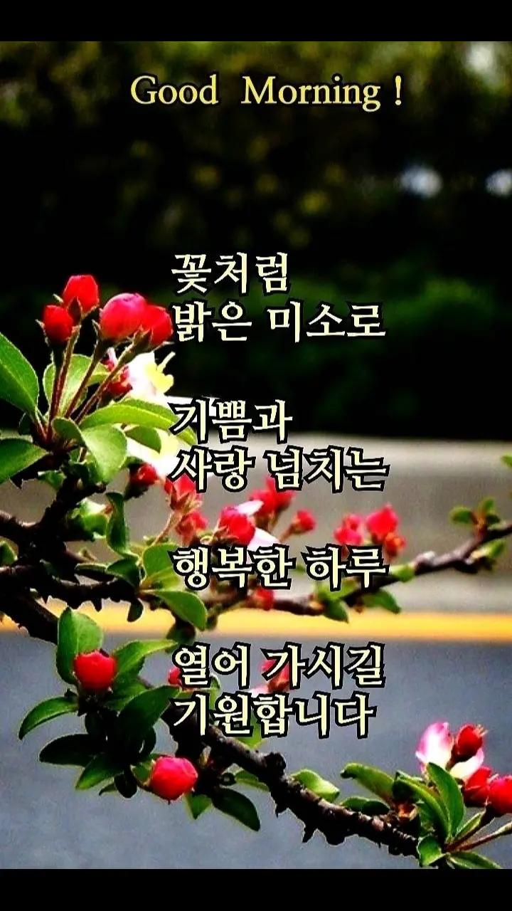 @바라보기