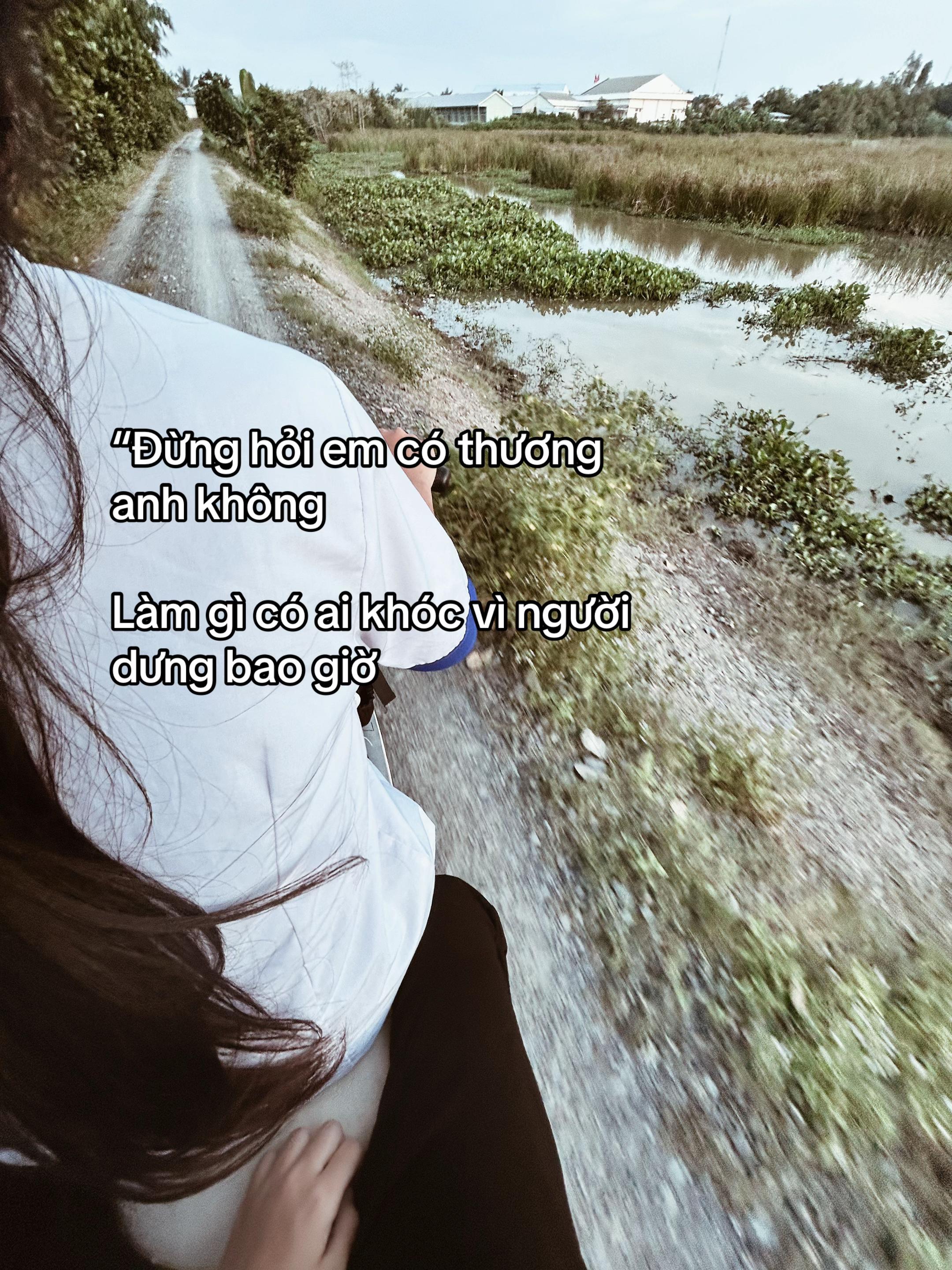 @Ngaan