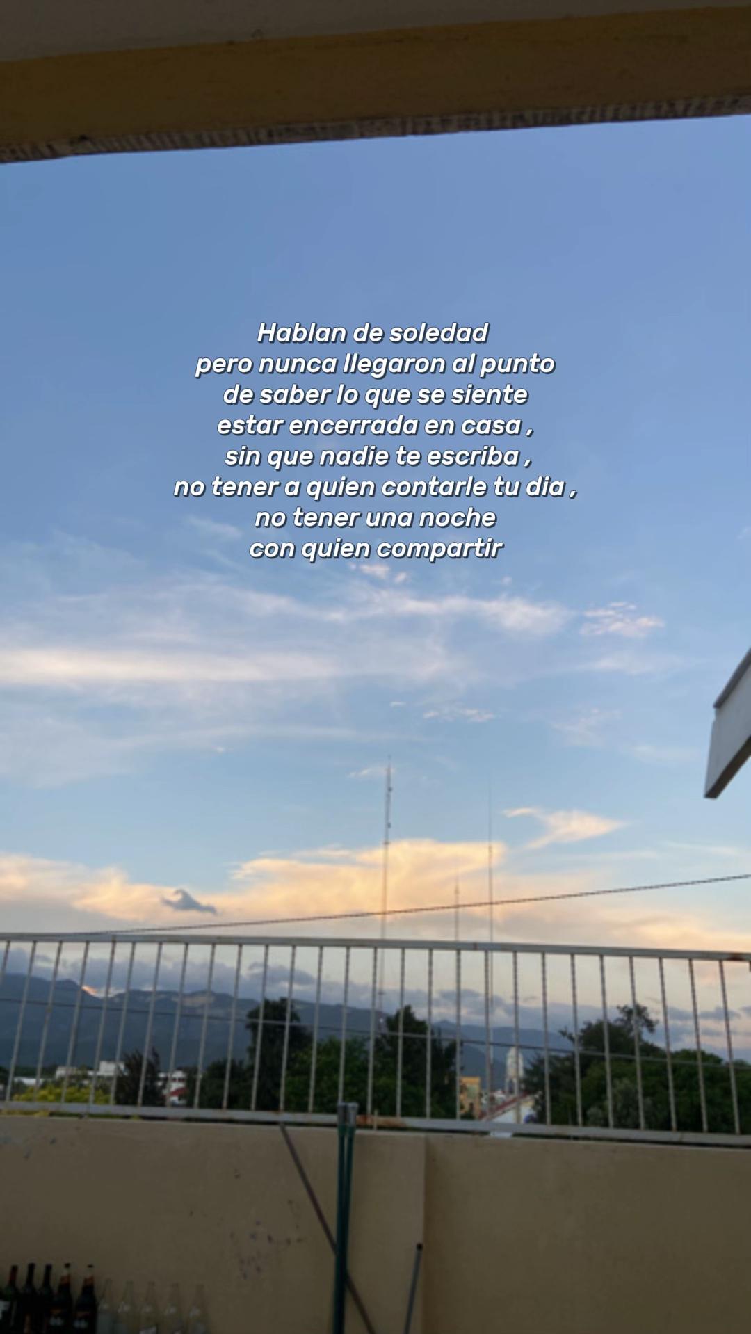 @Maria José Merino