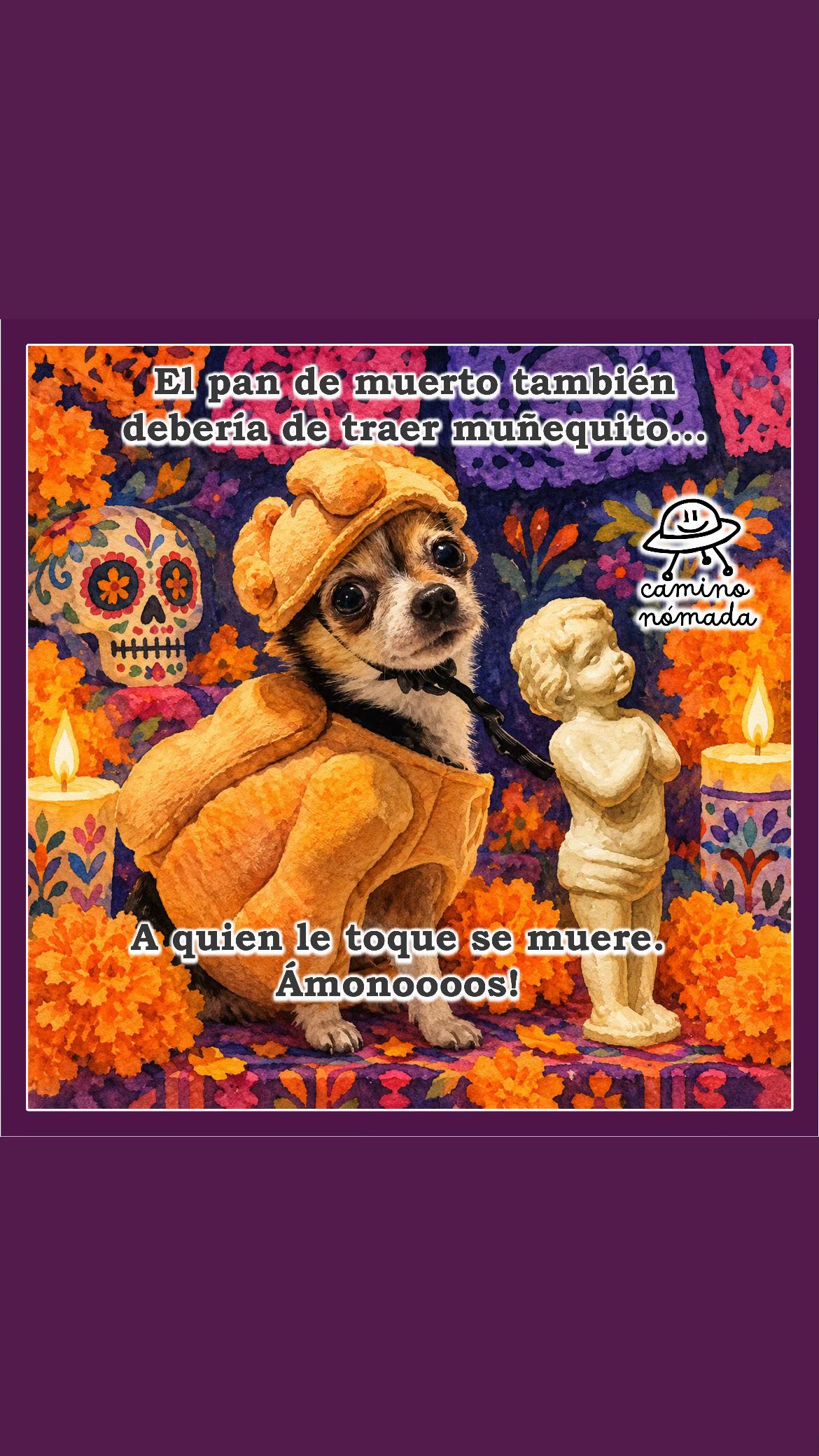 @Camino Nómada