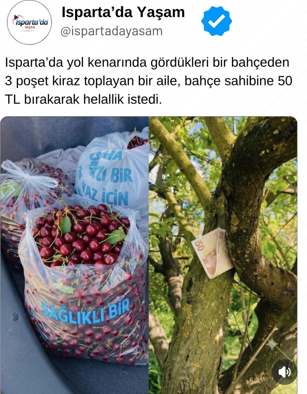 @Isparta Sevdalısı