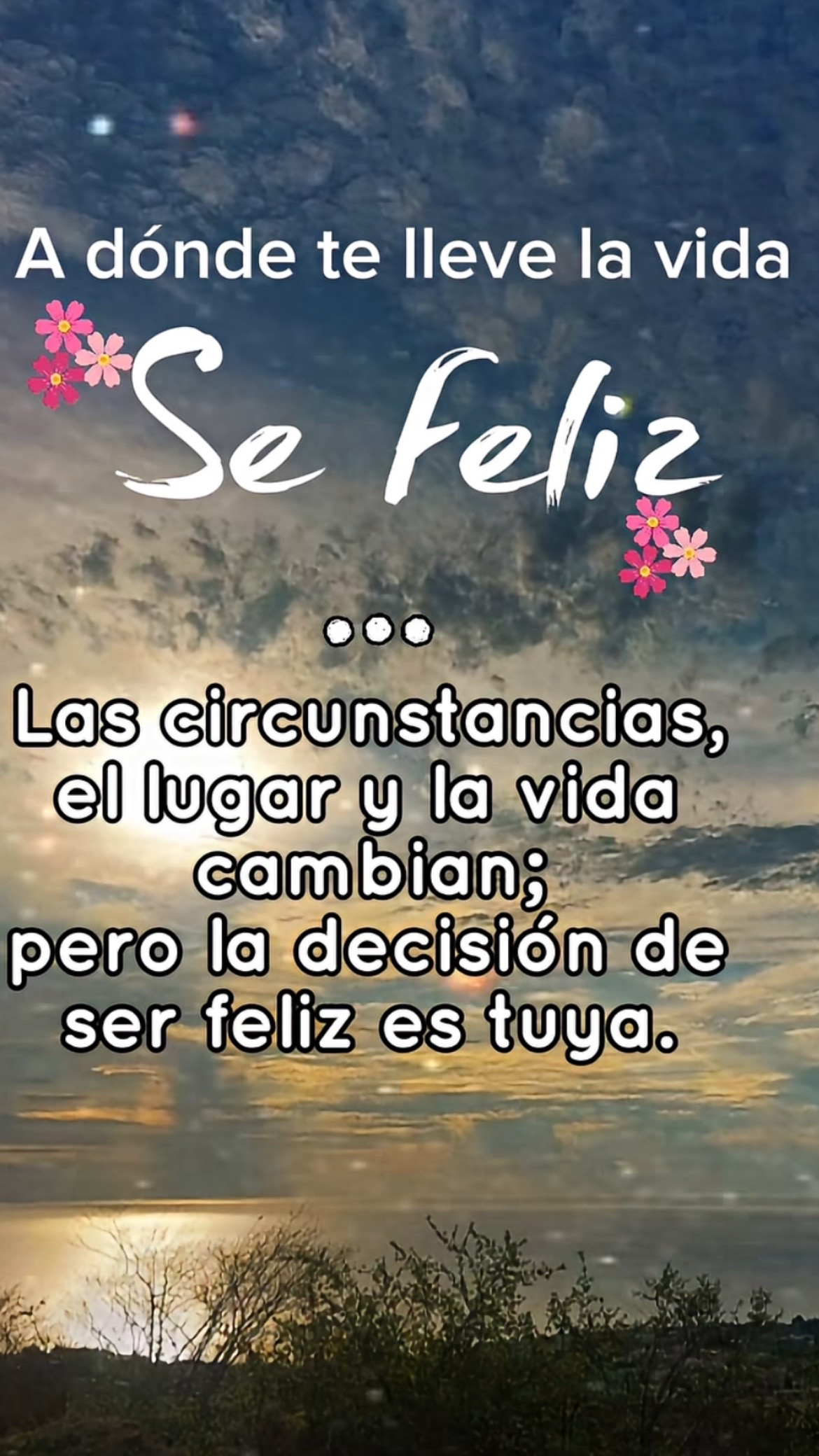 @Pedro Cruz