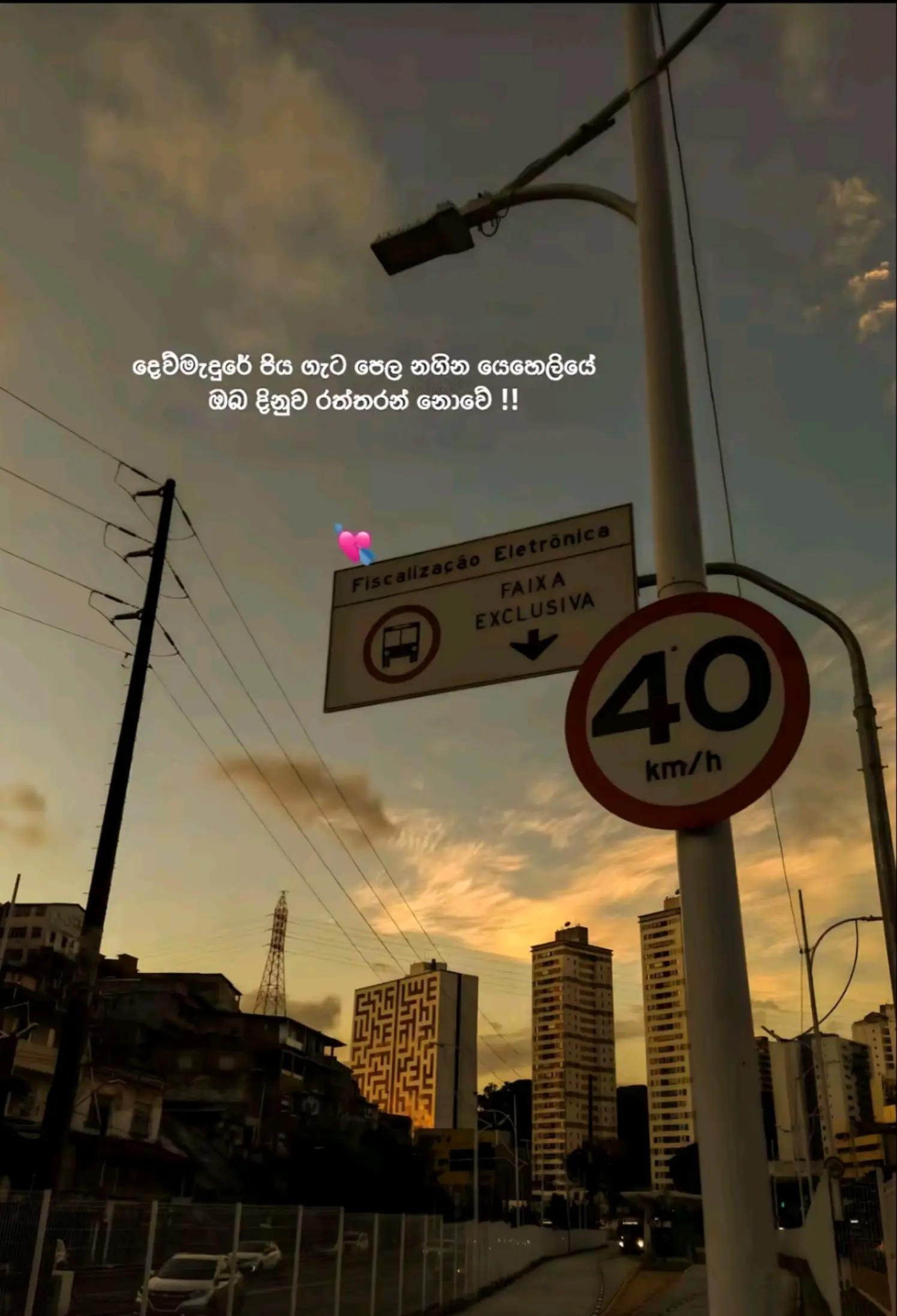 @𝙎𝗮𝗰𝗵𝗶┃සචි 〲 🩸🍃