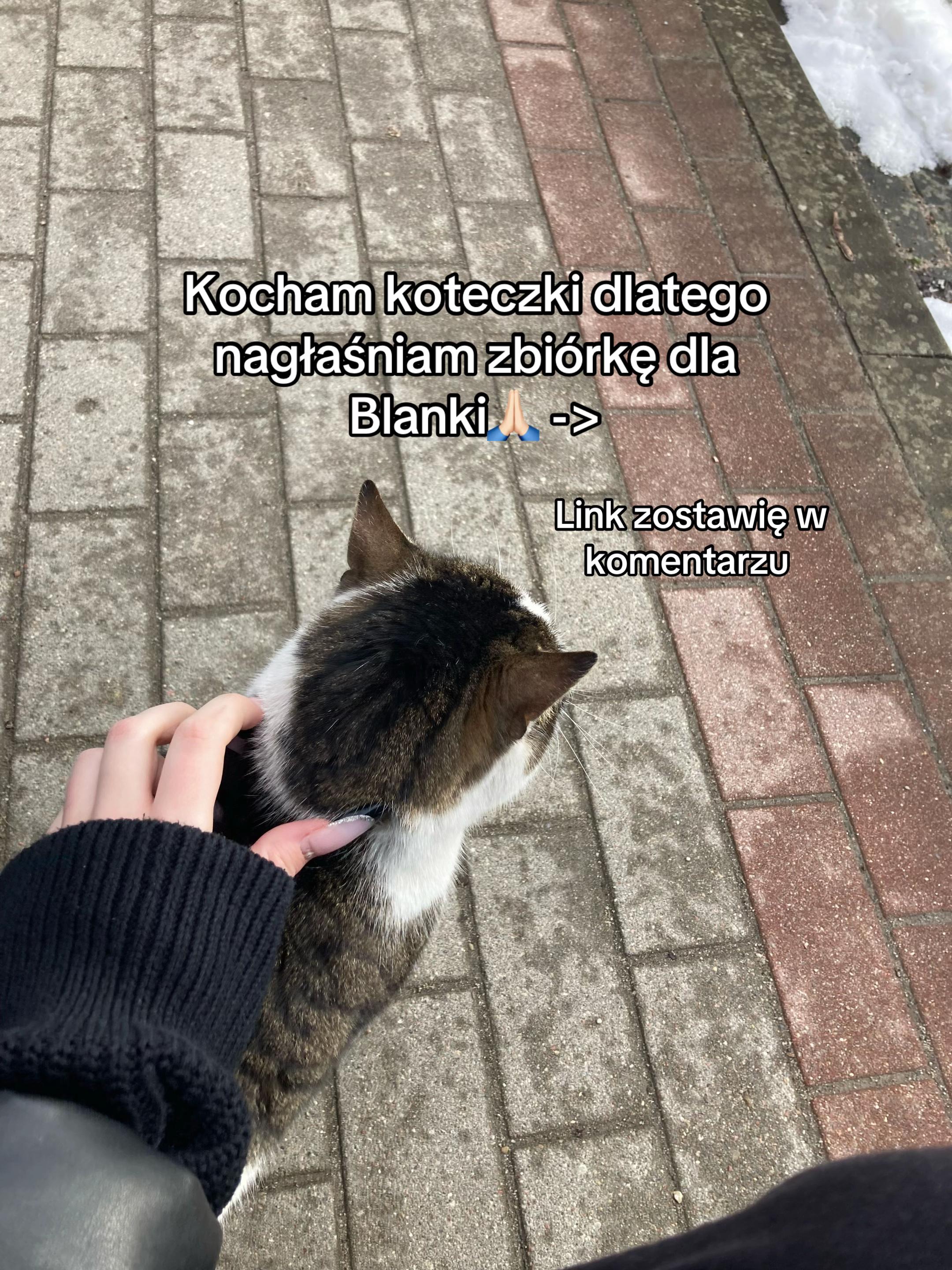 @sweetwika🍭🩵
