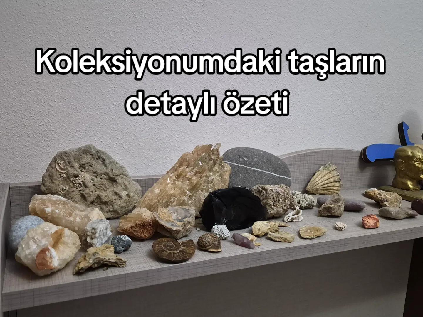 @Türk Bilimci 🔭🔬🌱