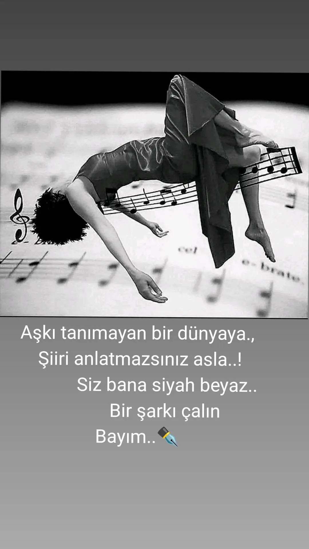 @BİR SER&Ccedil;ENİN G&Ouml;ZYAŞ🕊️🕊️🕊️