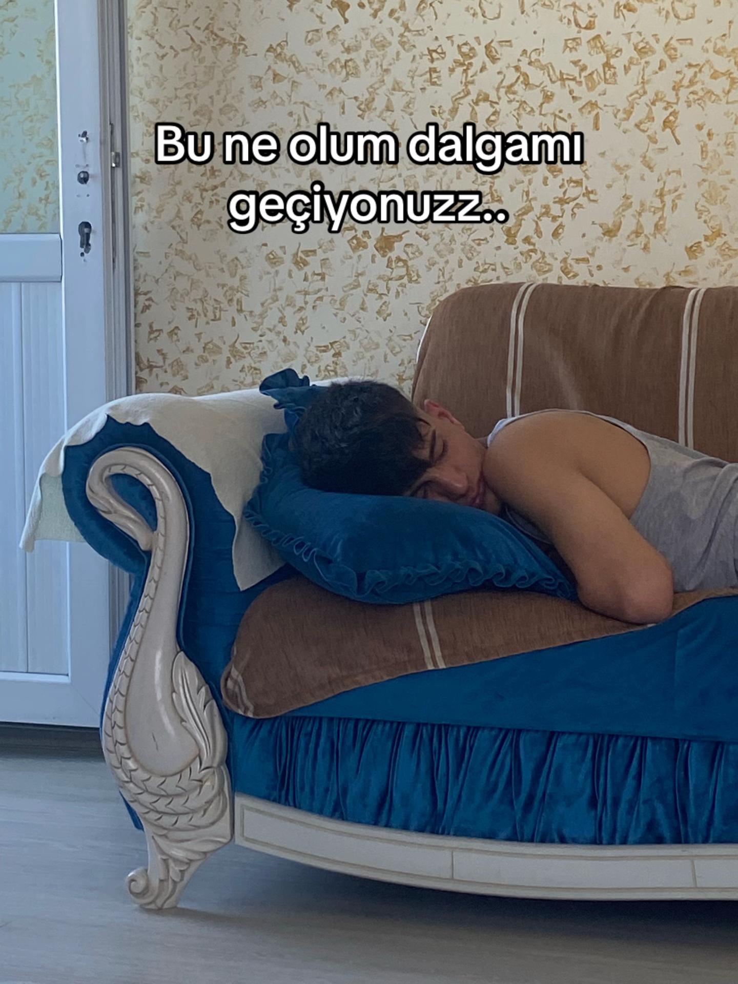 @SEFA🐅