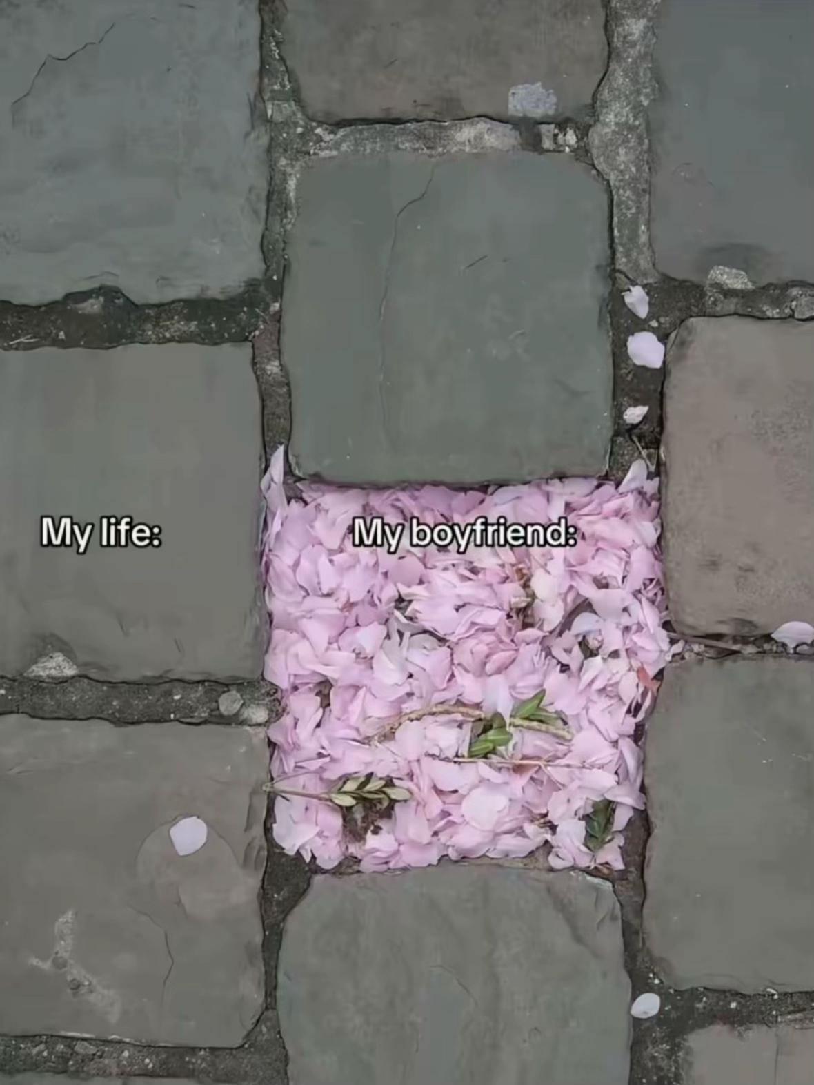 @тгк: evwly