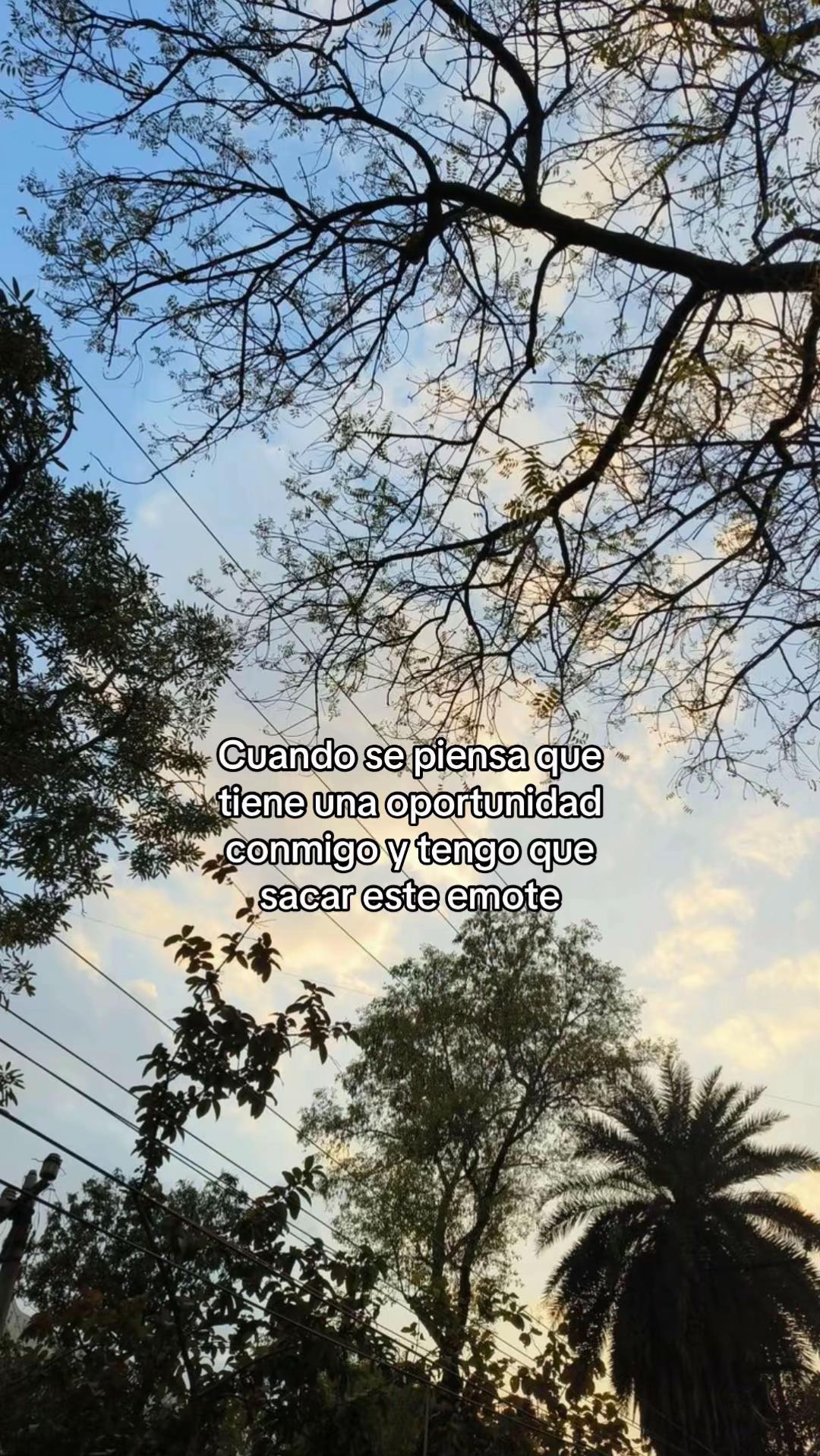 @Hanny Scarlett