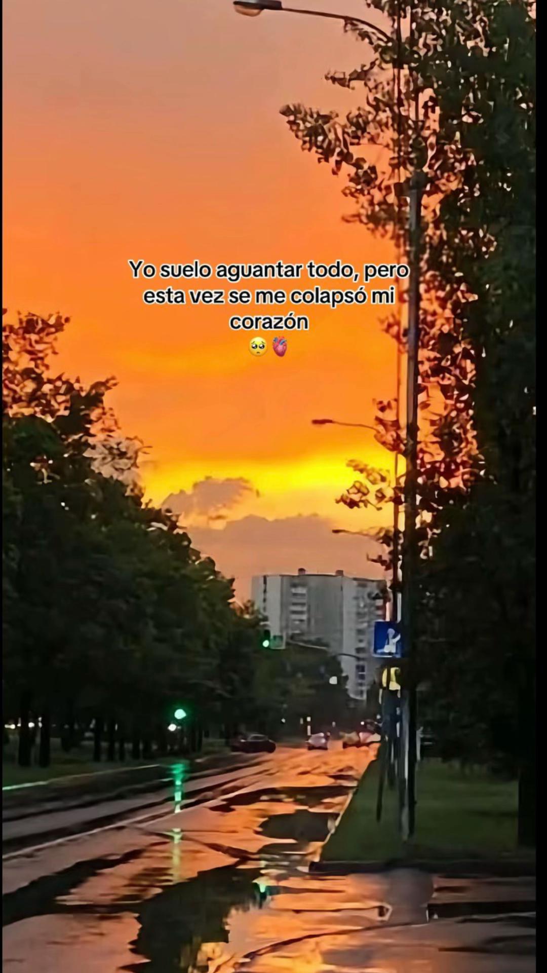 @✨..&copy;riis..✨