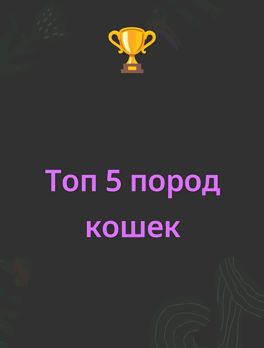 @Money money money
